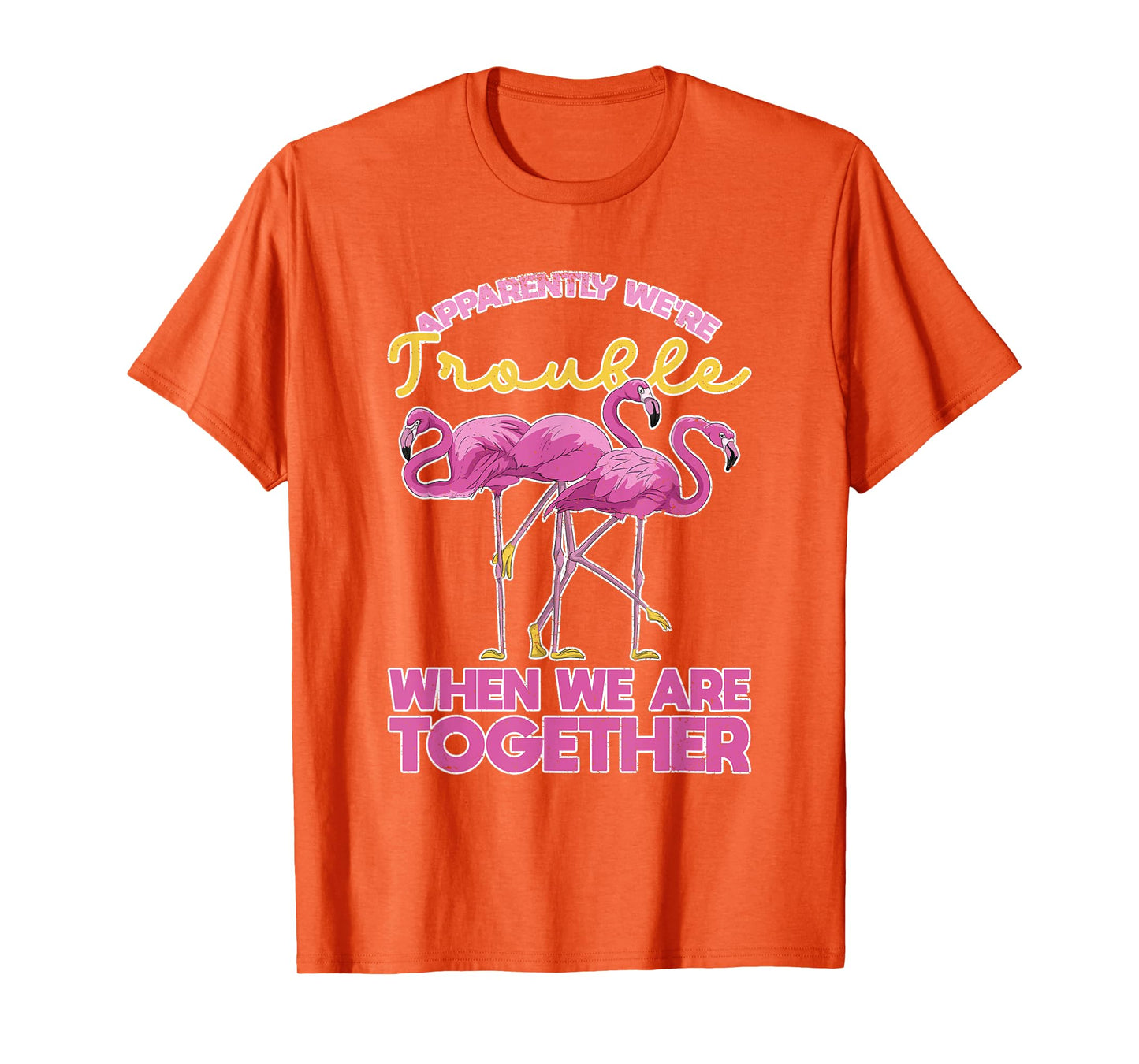 Apparently Were Trouble When We Are Together Funny Flamingo T-Shirt