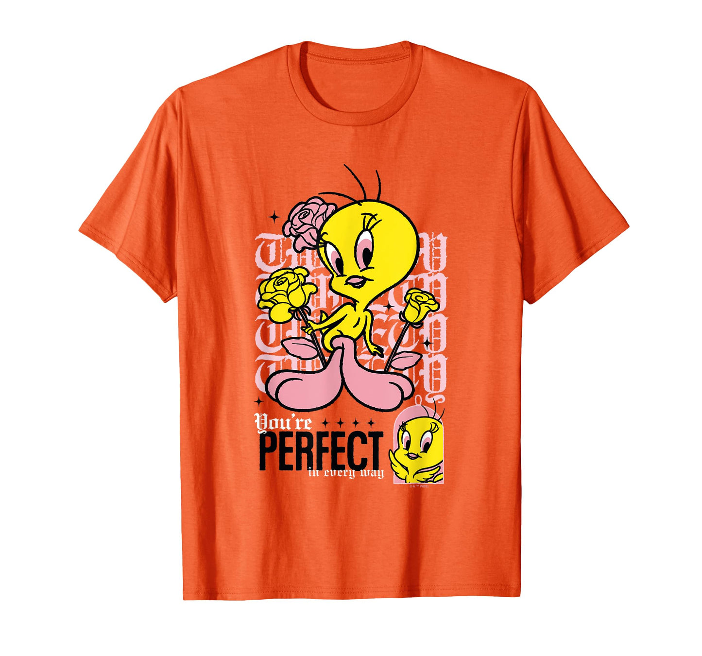 Looney Tunes Tweety Bird You're Perfect In Every Way Retro T-Shirt