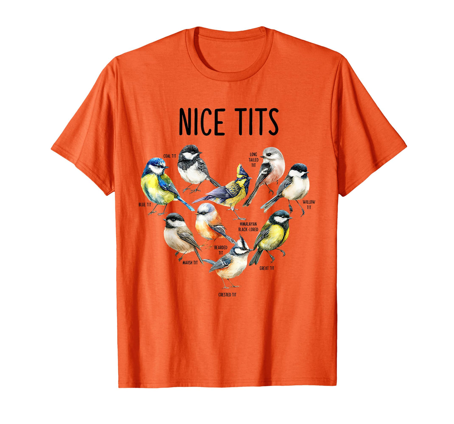 Retro Funny Nice Tits Birds Birdwatcher Bird Watching Humor T-Shirt