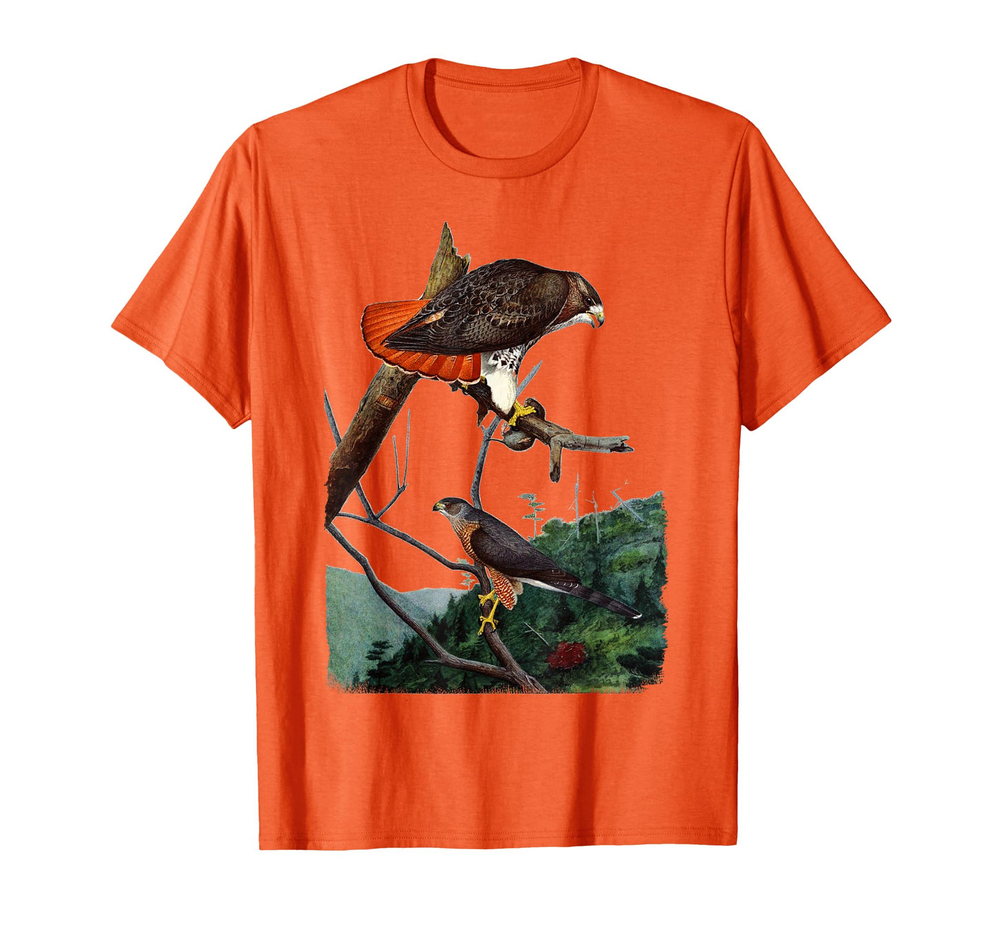 Red Tailed Hawk Red-Tailed Hawk Birder Gift T-Shirt