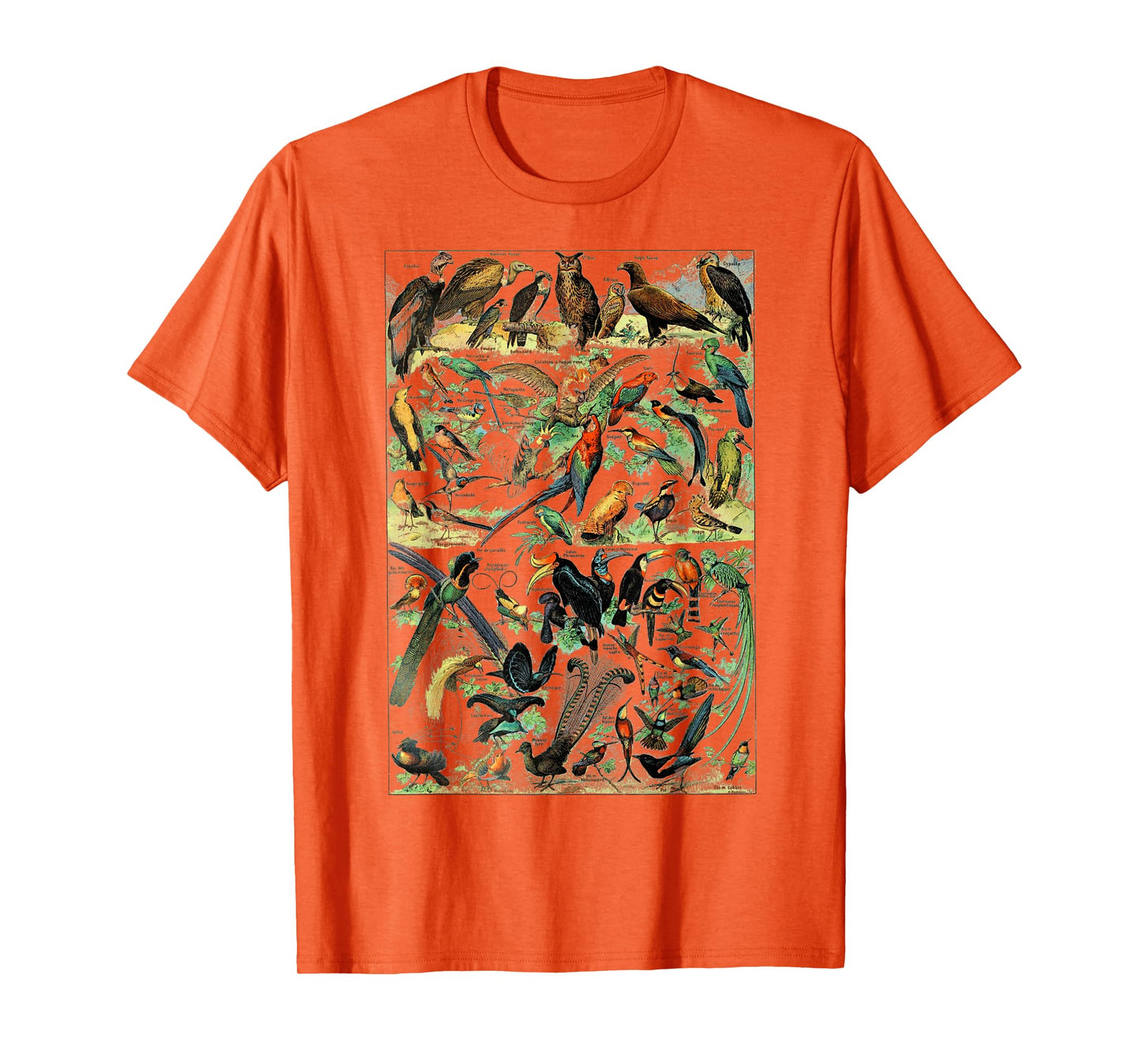 Bird Nature Birding Watcher Ornithology chart Types of birds T-Shirt