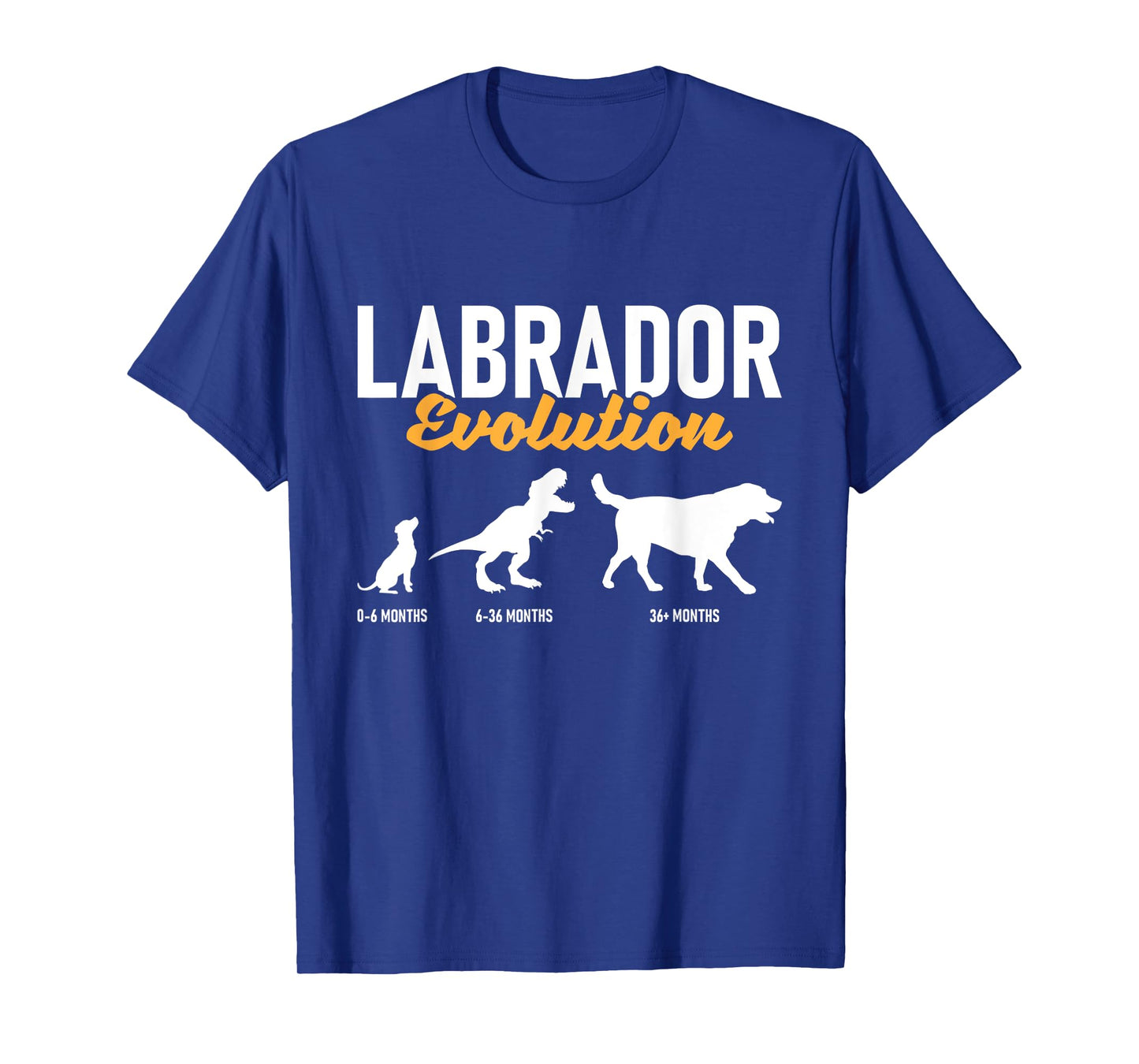 Labrador Evolution - Pet Owner Animal Dog Lover T-Shirt