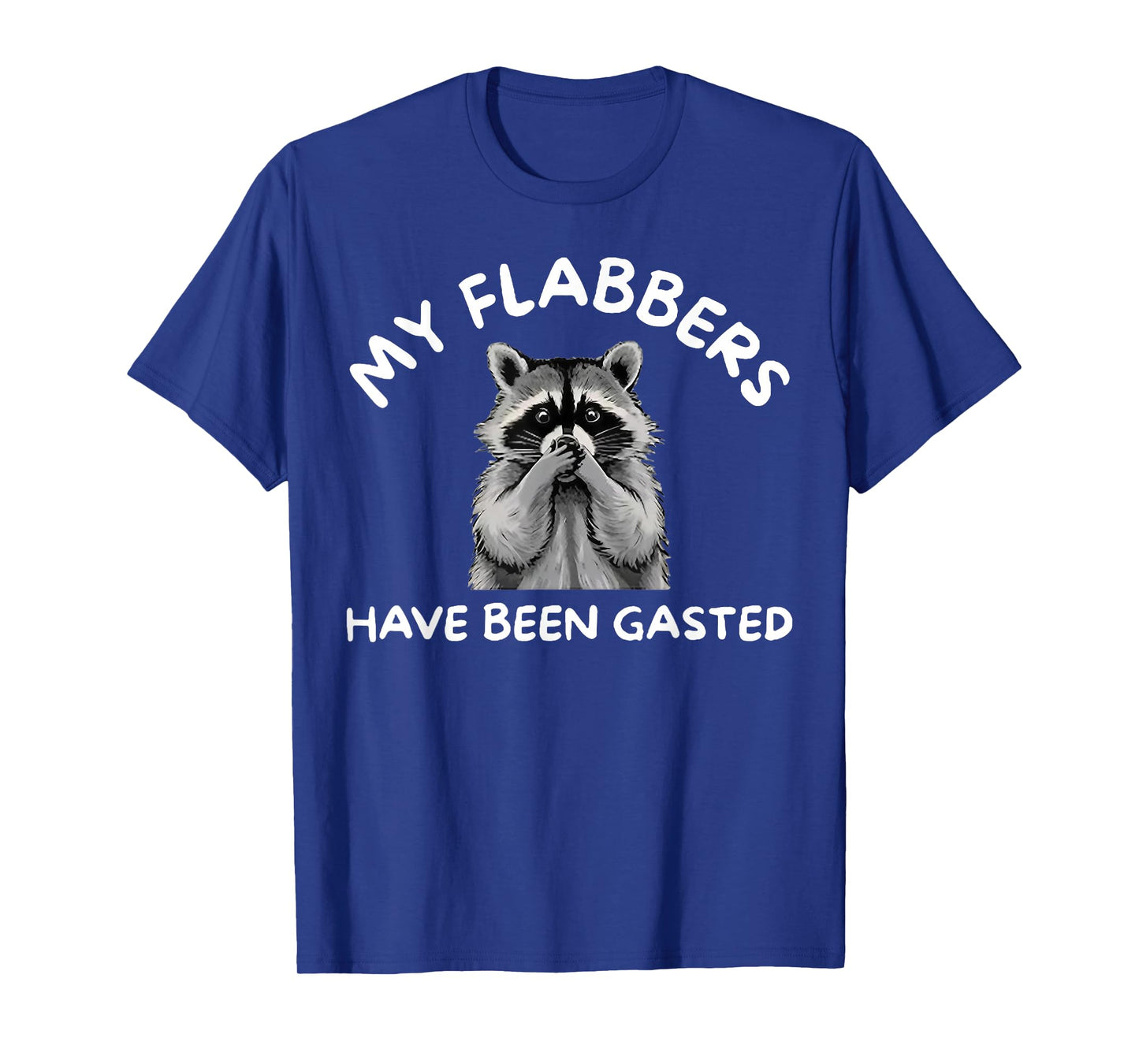Raccoon My Flabbers Have Been Gasted T-Shirt