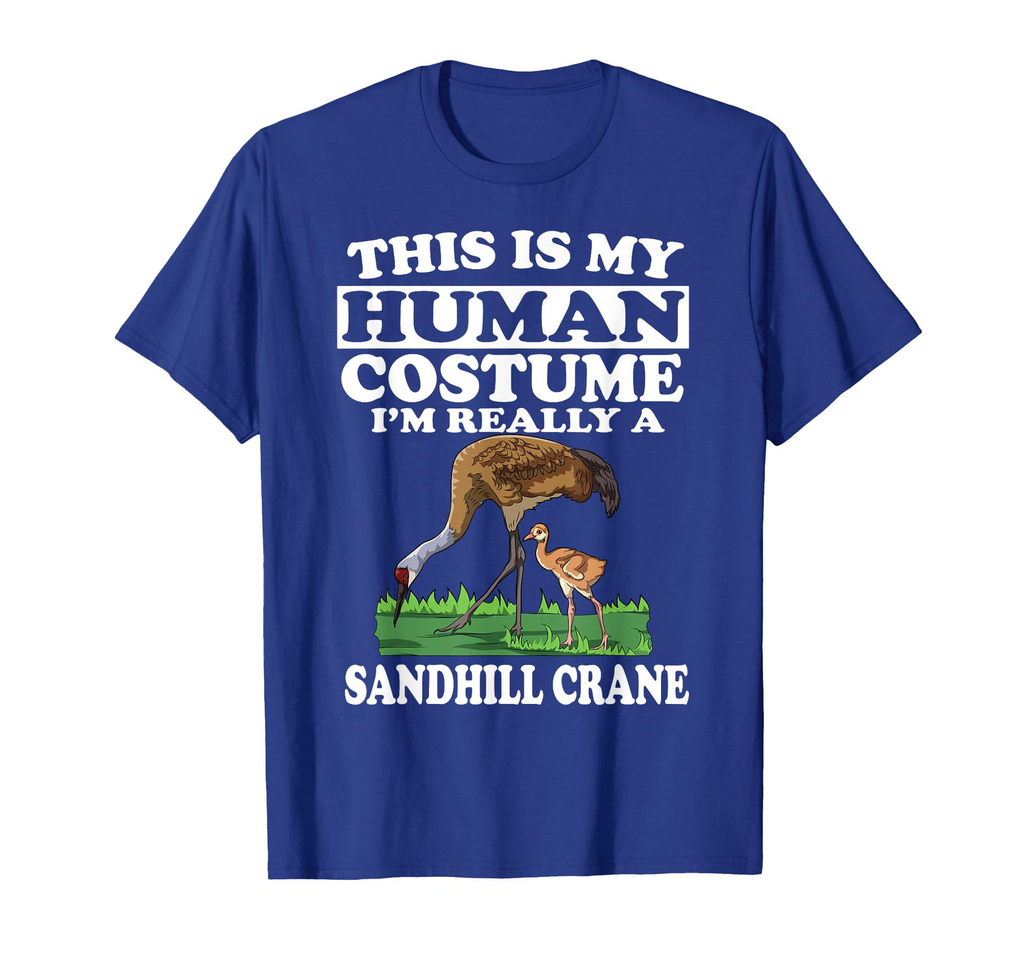 This Is My Human Costume I'm Really A Sandhill Crane Birding T-Shirt