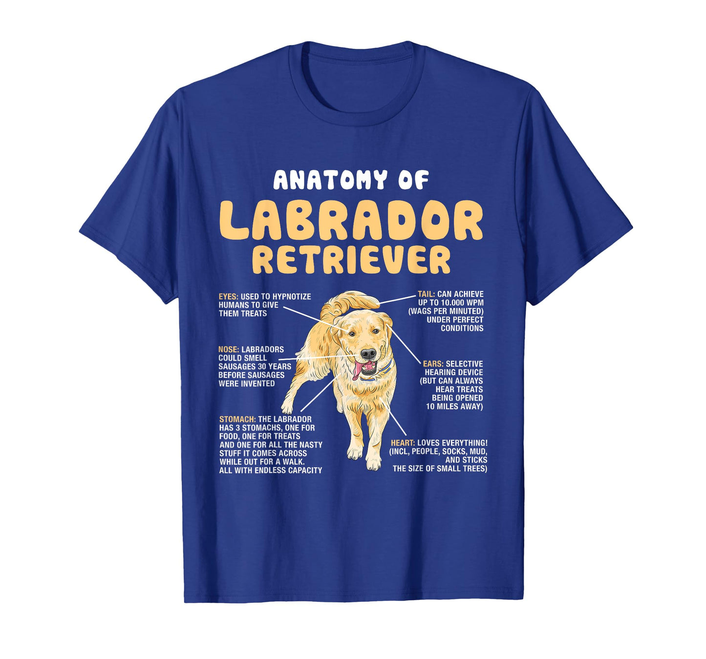 Anatomy Of Labrador Retriever Lovers Funny Lab Owners T-Shirt