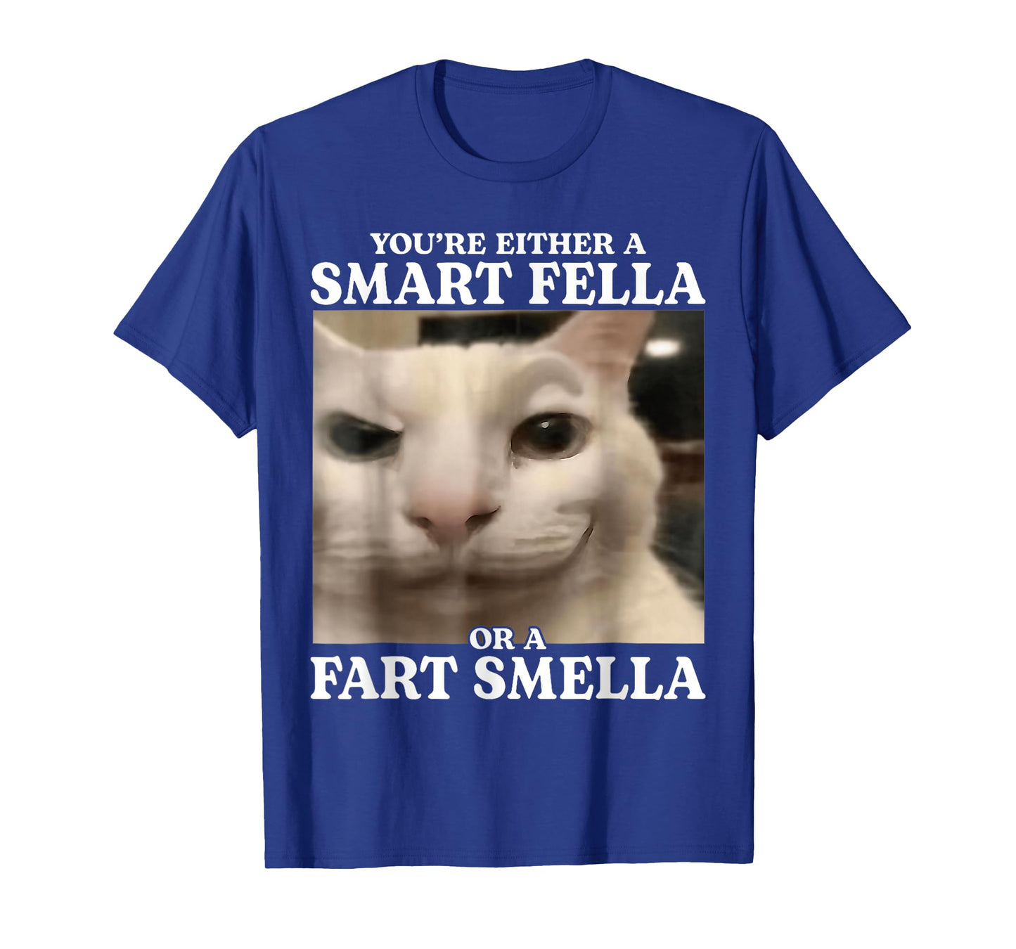 You're Either a Smart Fella or a Fart Smella Cat Funny Meme T-Shirt