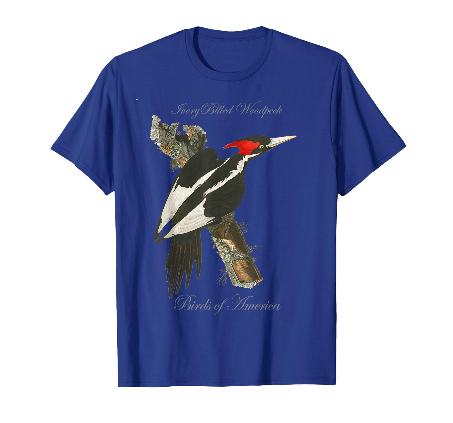 Ivory Billed Woodpecker - Birds of America Series T-Shirt T-Shirt