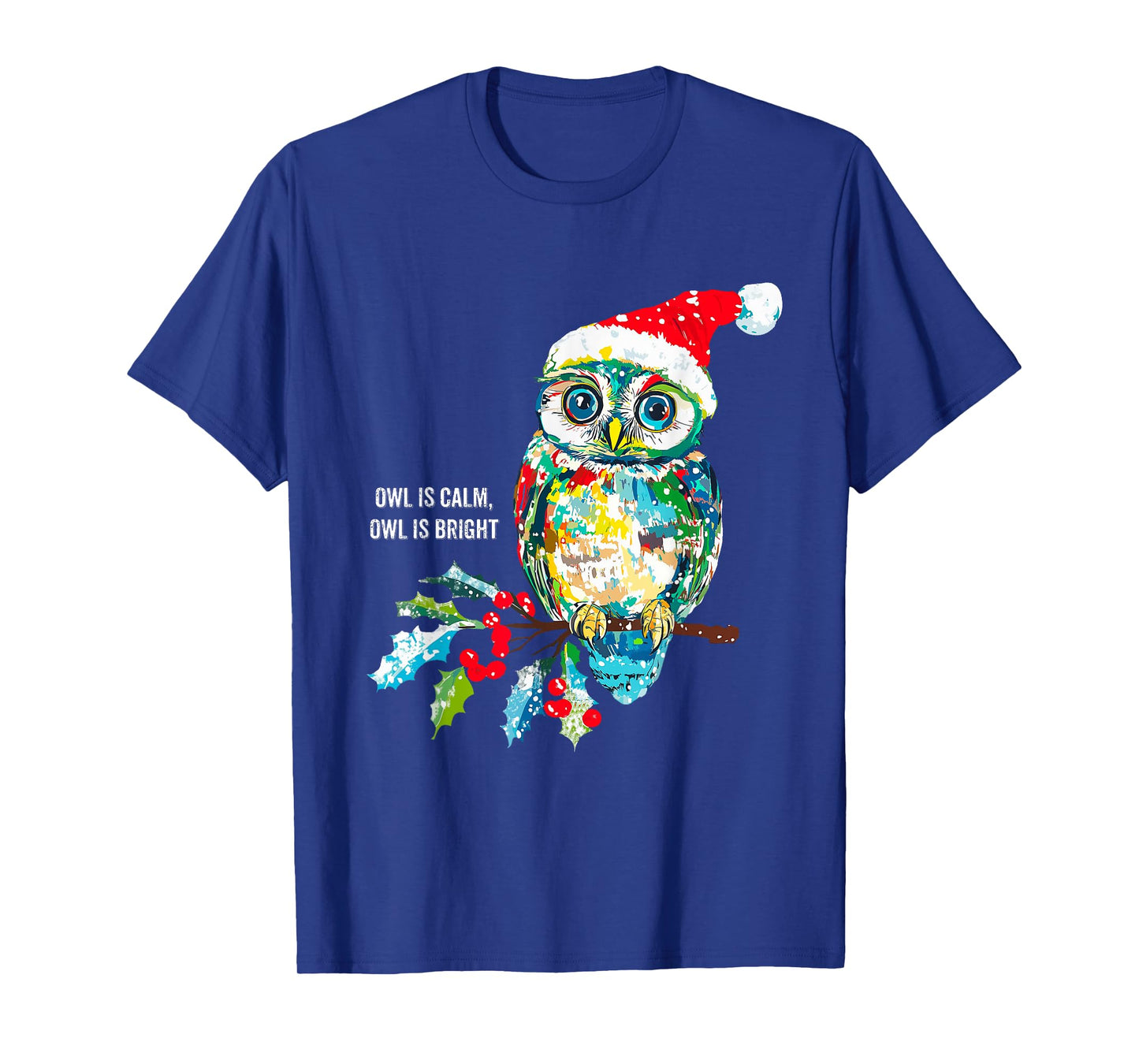 Funny Owl Wearing Santa Claus Hat Christmas Holiday Meme T-Shirt