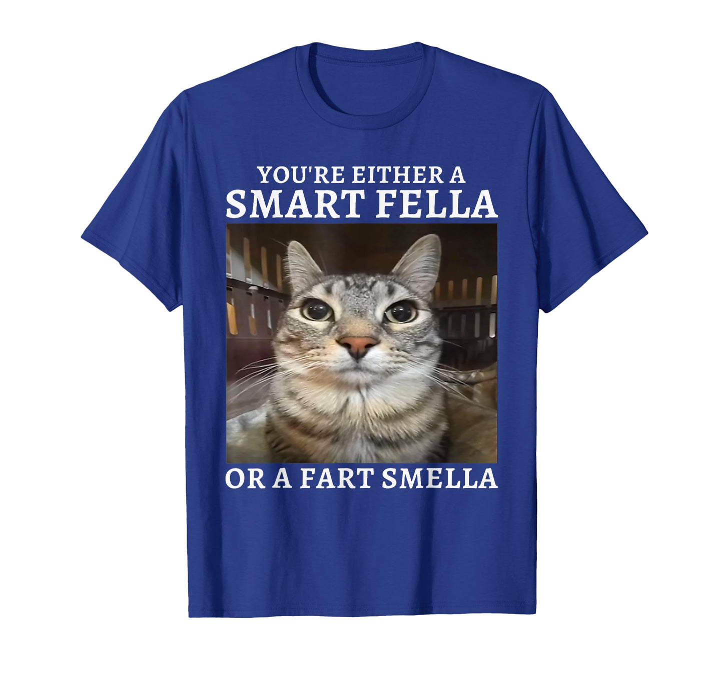 You're Either a Smart Fella or a Fart Smella Funny Cat Meme T-Shirt