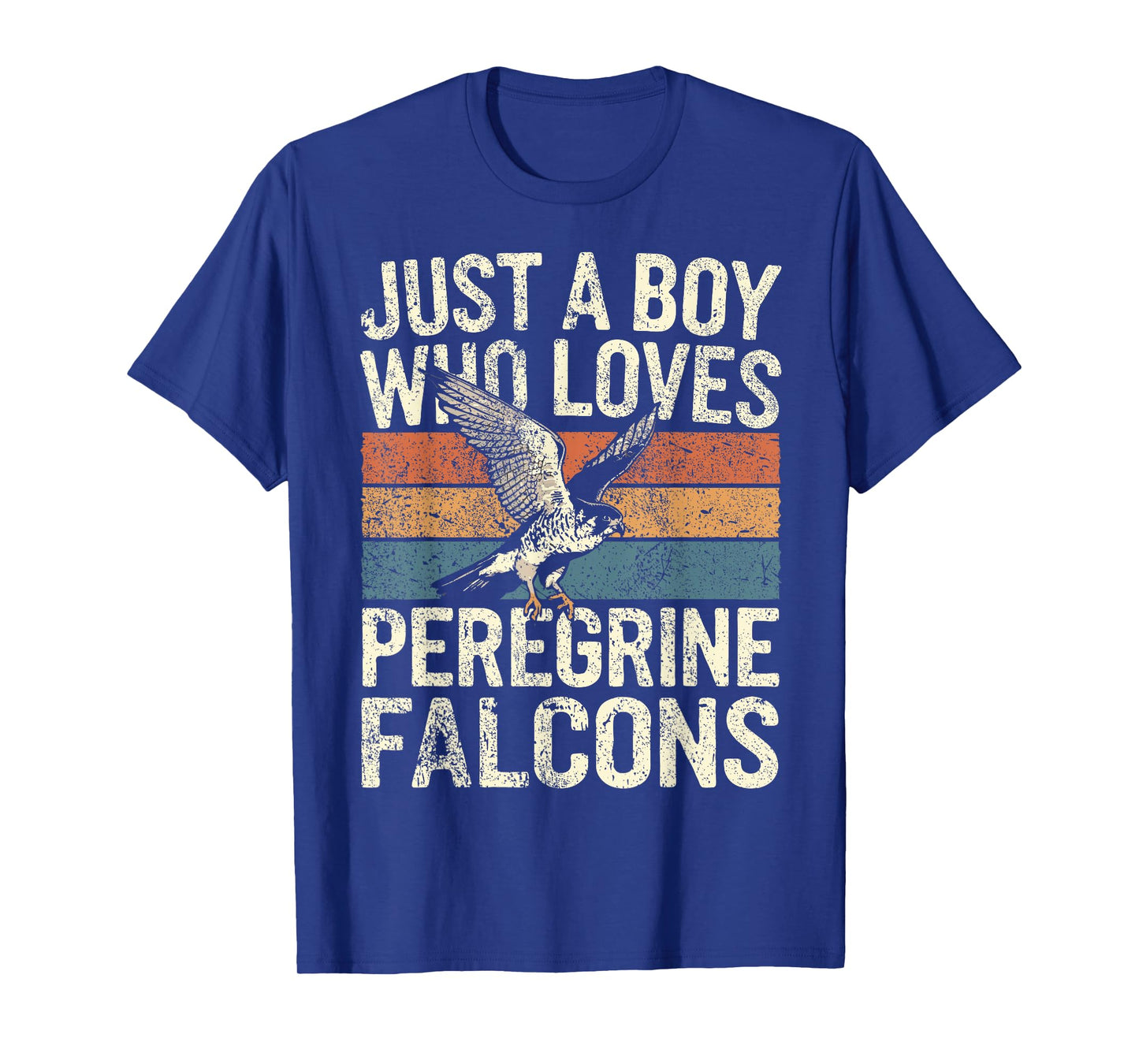 Falconer Boy Loves Peregrine Falcons Falconry T-Shirt