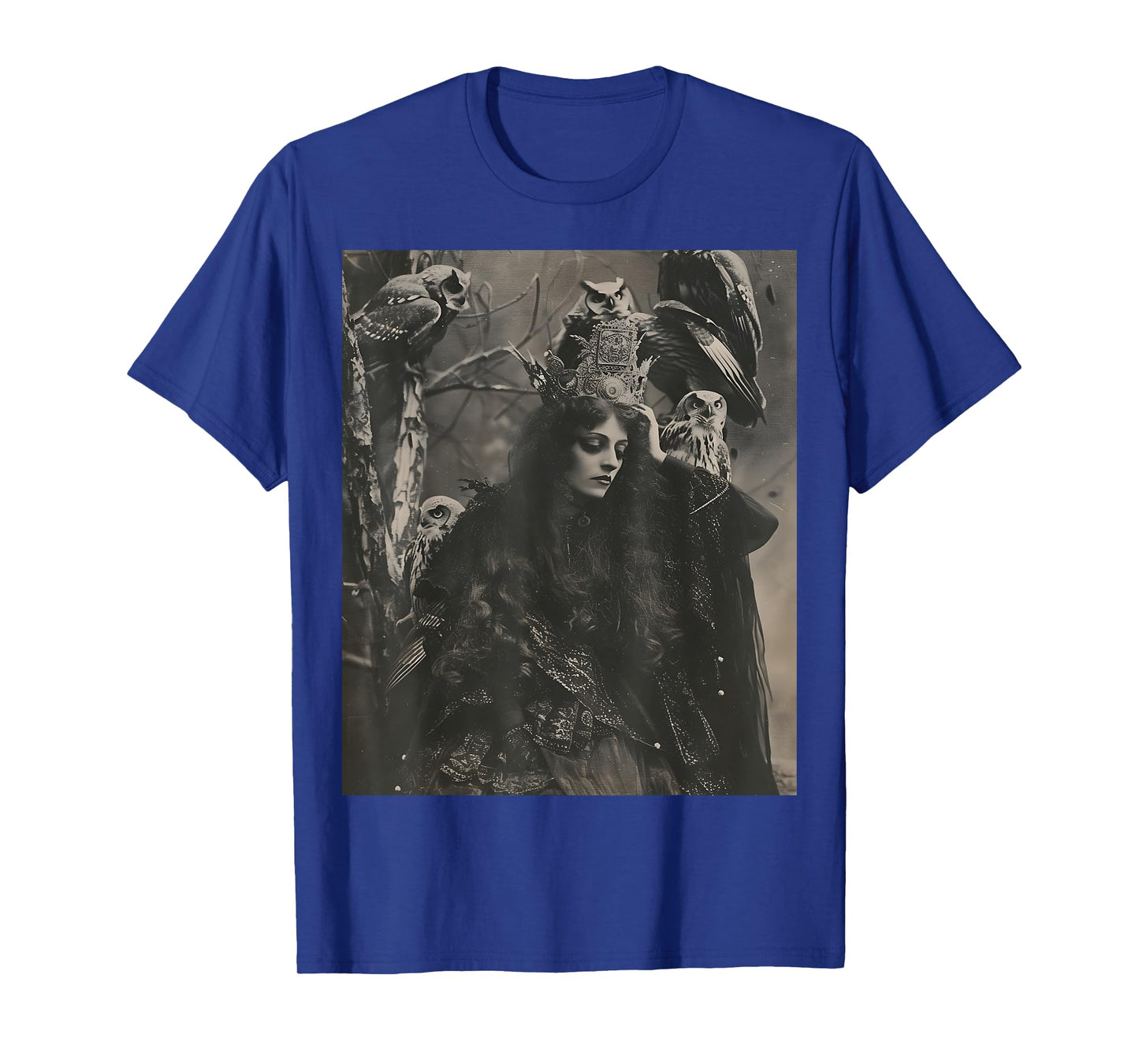 Vintage Witch Sorceress With Raptor Owl Birds Goth Gothic T-Shirt