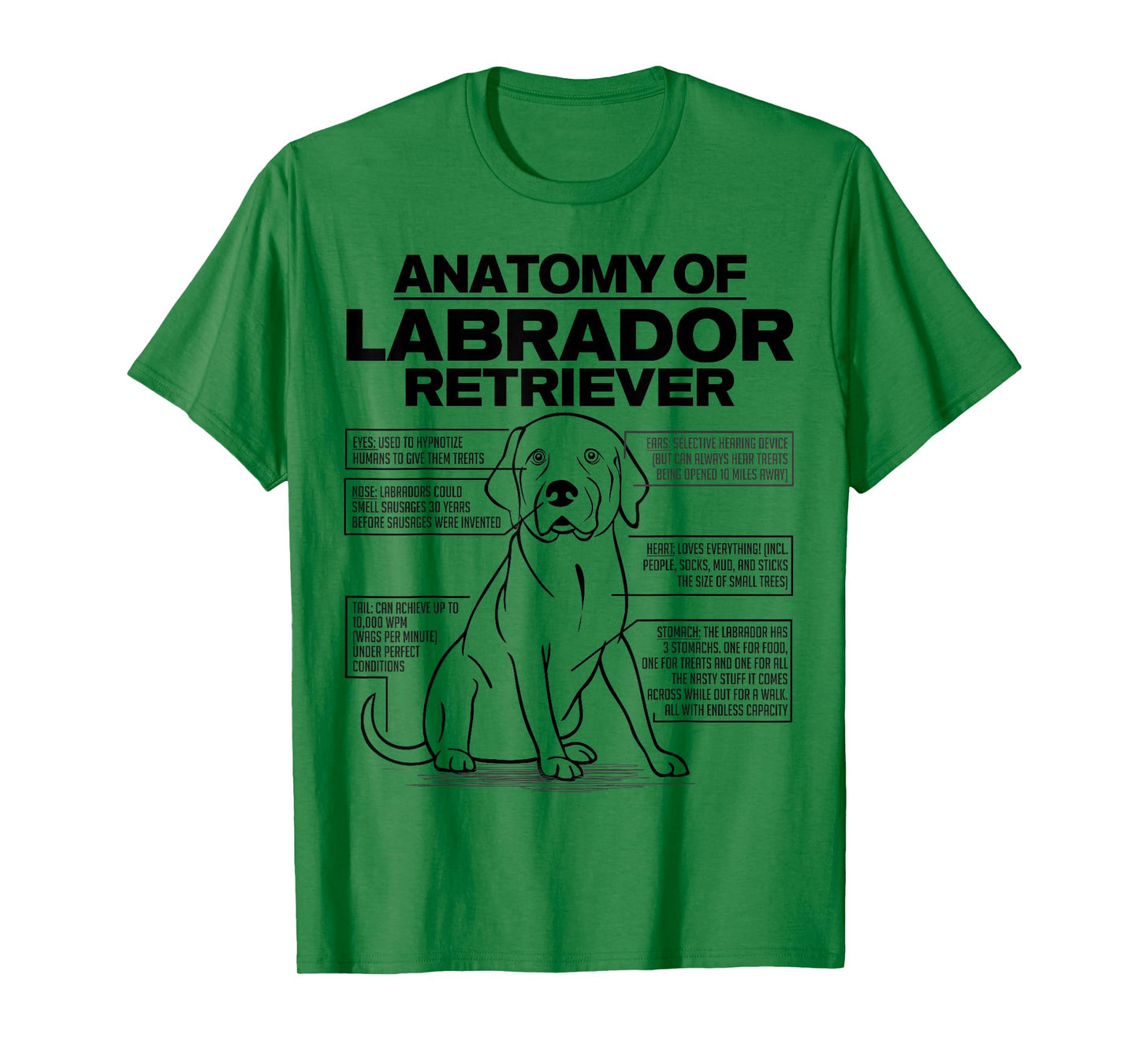 Anatomy of a Labrador Retriever Funny Dog owner gifts shirt T-Shirt