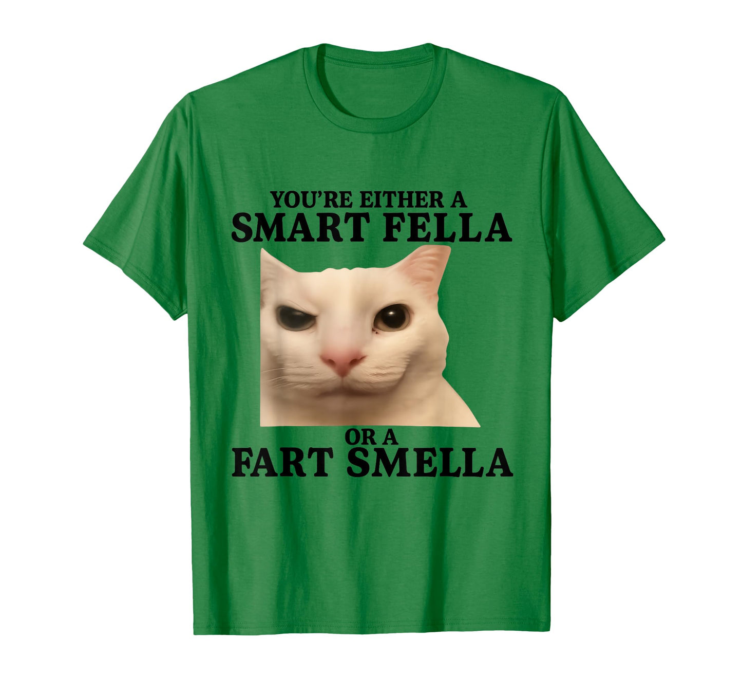 Funny You're Either a Smart Fella or a Fart Smella Cat Quote T-Shirt