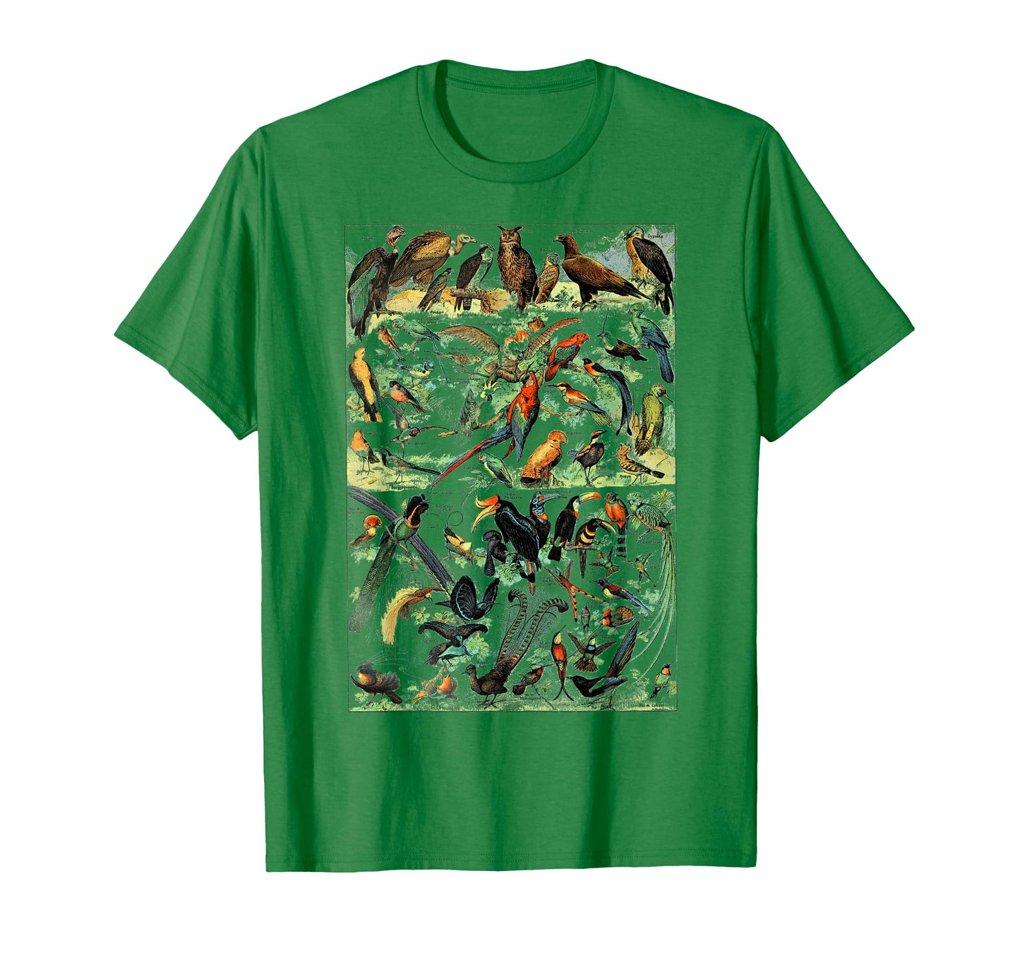 Bird Nature Birding Watcher Ornithology chart Types of birds T-Shirt