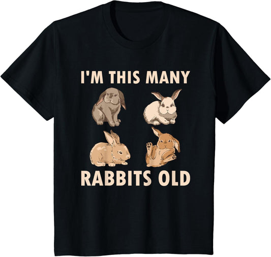 4 Year Old Bunny Rabbits Old 4th Birthday T-Shirt