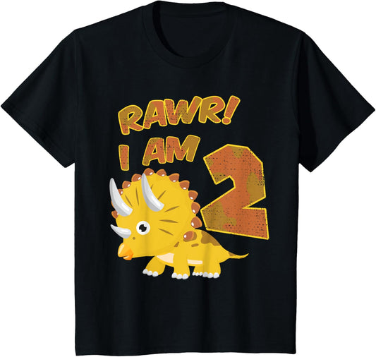 2nd Birthday Dinosaur T-Shirt I Rawr I Am 2 Years Old Gift T-Shirt