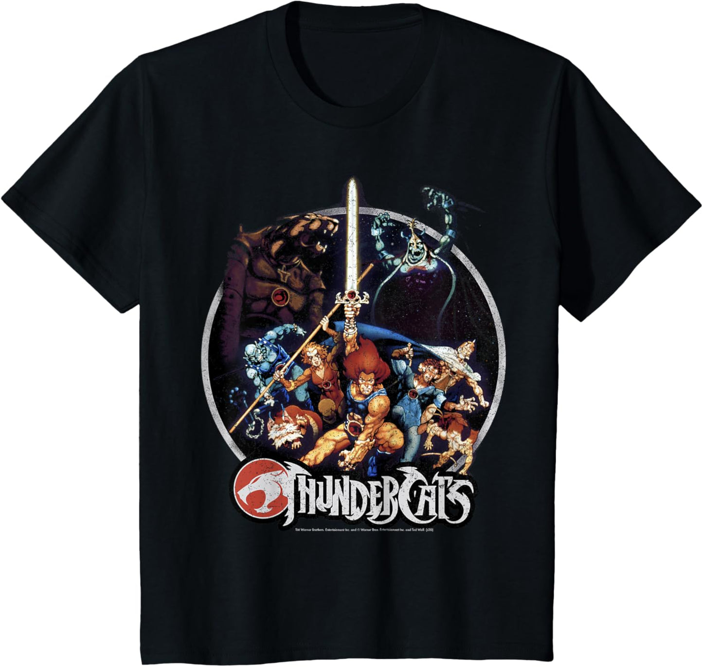 ThunderCats Group Shot Vintage Circle T-Shirt