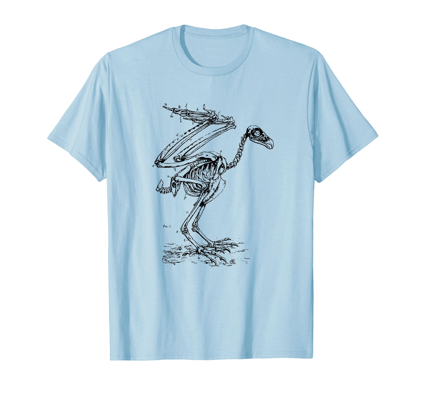 Vintage Eagle Skeleton - Scientific Diagram Bird Skull T-Shirt