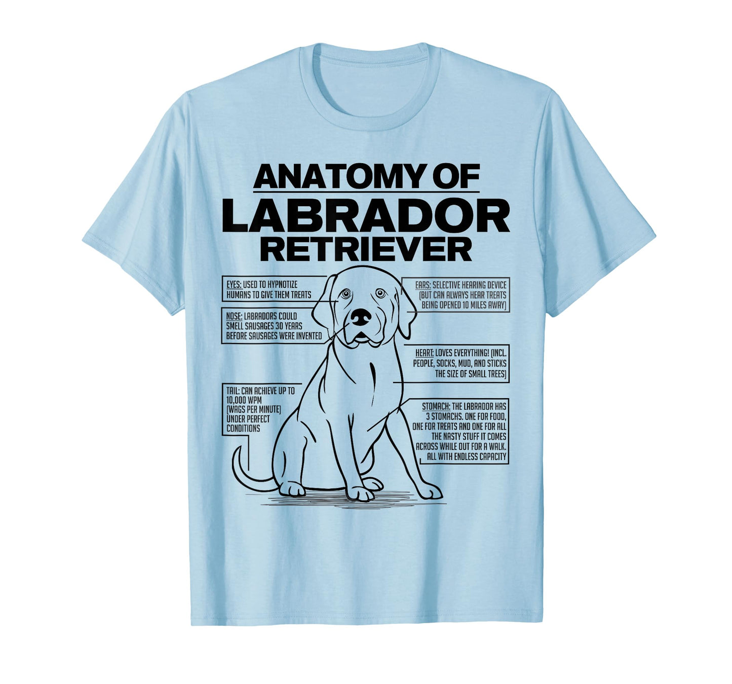 Anatomy of a Labrador Retriever Funny Dog owner gifts shirt T-Shirt