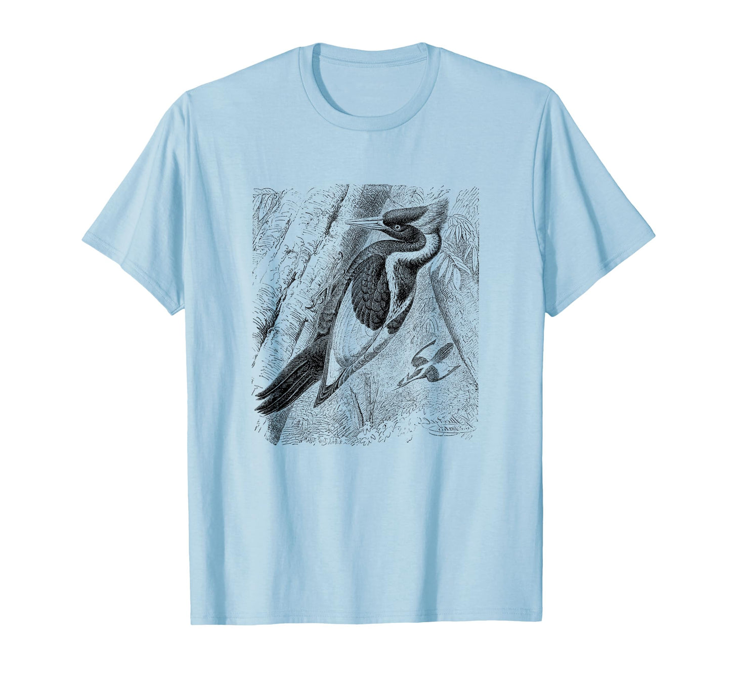 Ivory Billed Woodpecker Print T-Shirt T-Shirt