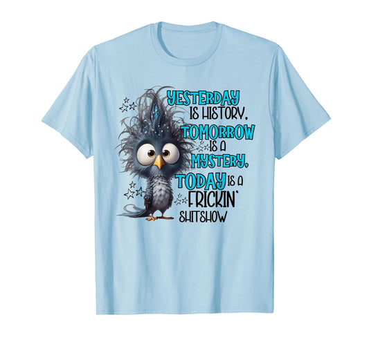 Yesterday is a history tomorrow is a mistery today funny T-Shirt