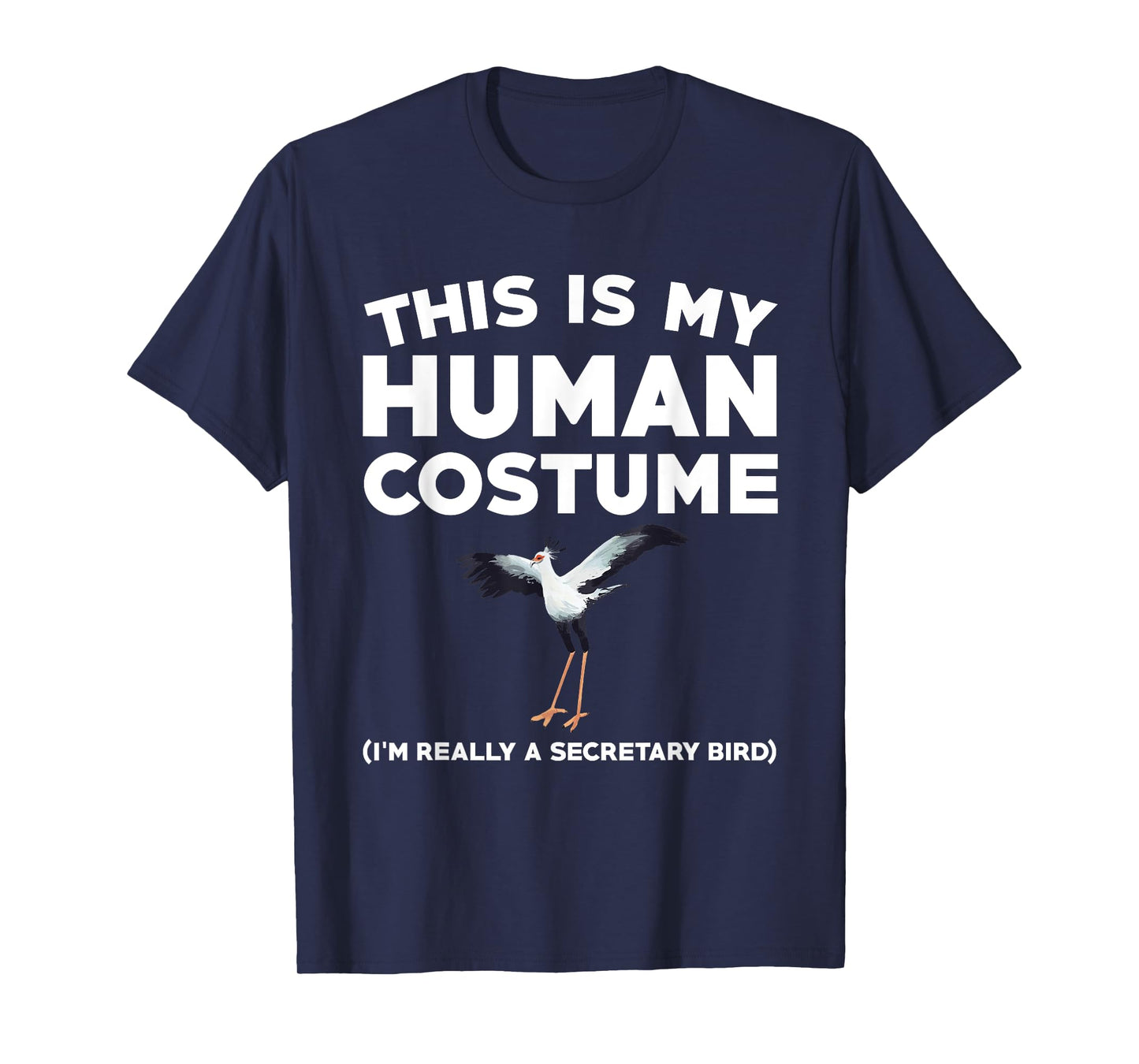 Funny Secretary Bird Watching Saying Birding Lover T-Shirt