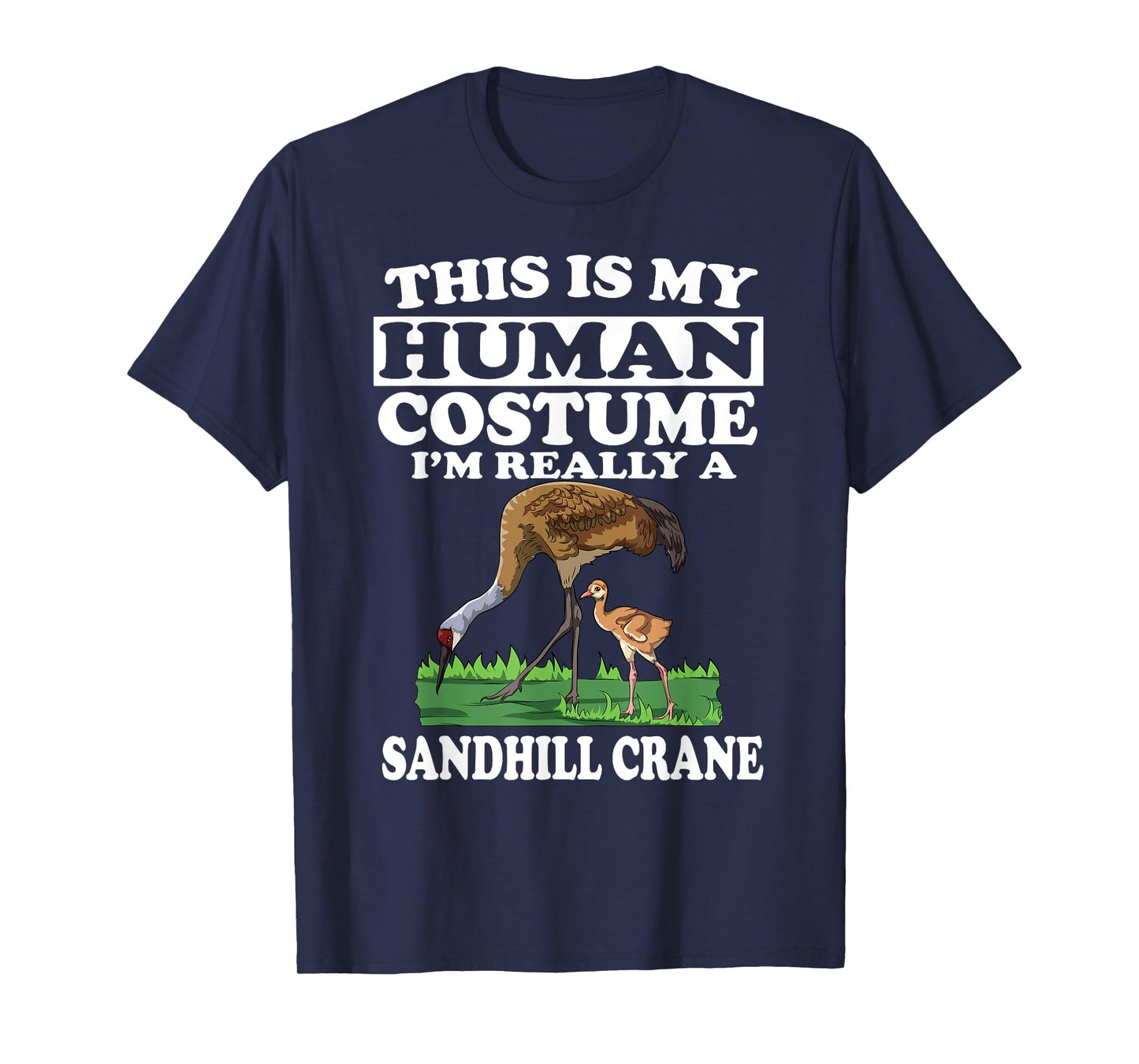 This Is My Human Costume I'm Really A Sandhill Crane Birding T-Shirt