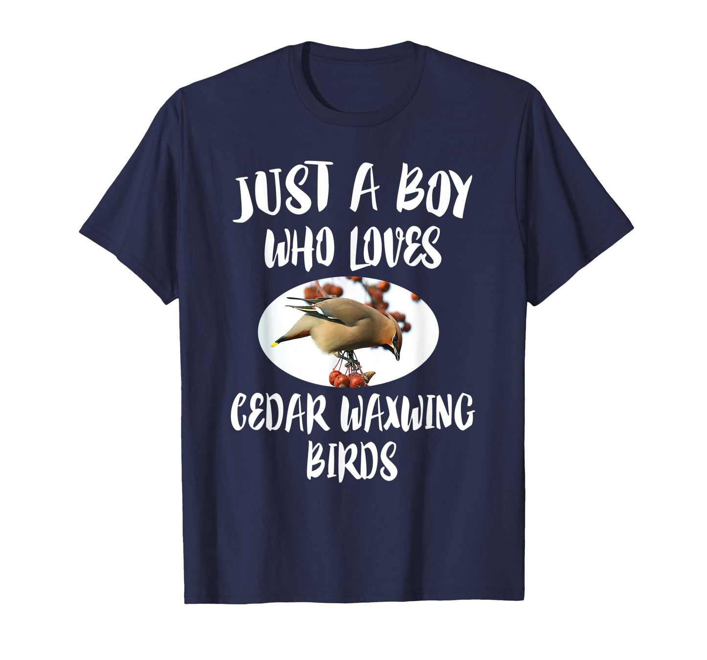 Just A Boy Who Loves Cedar Waxwing Birds Gift T-Shirt