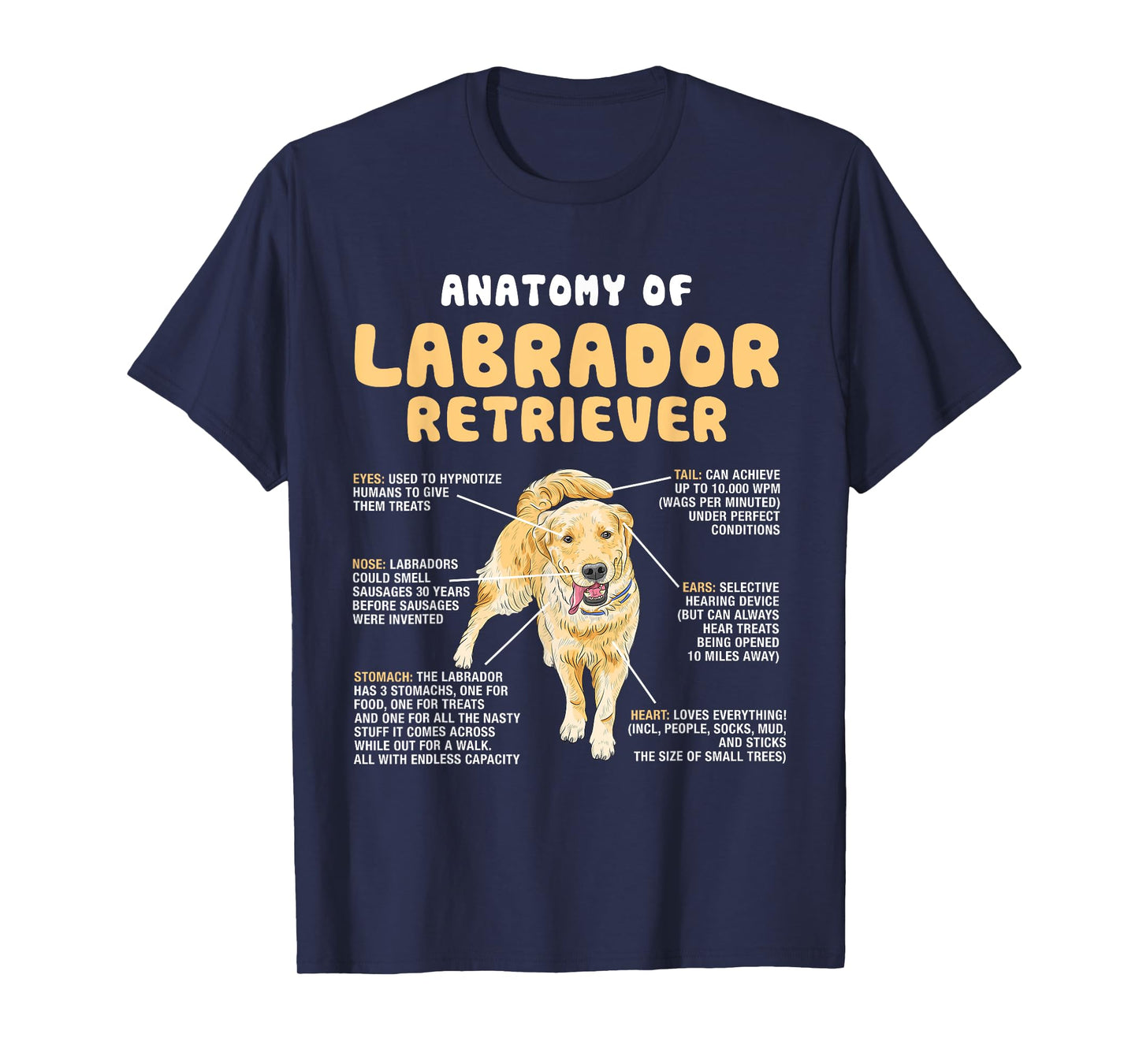 Anatomy Of Labrador Retriever Lovers Funny Lab Owners T-Shirt