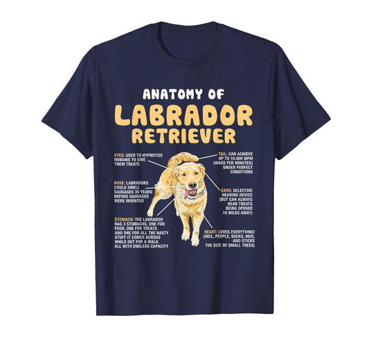 Anatomy Of Labrador Retriever Lovers Funny Lab Owners T-Shirt