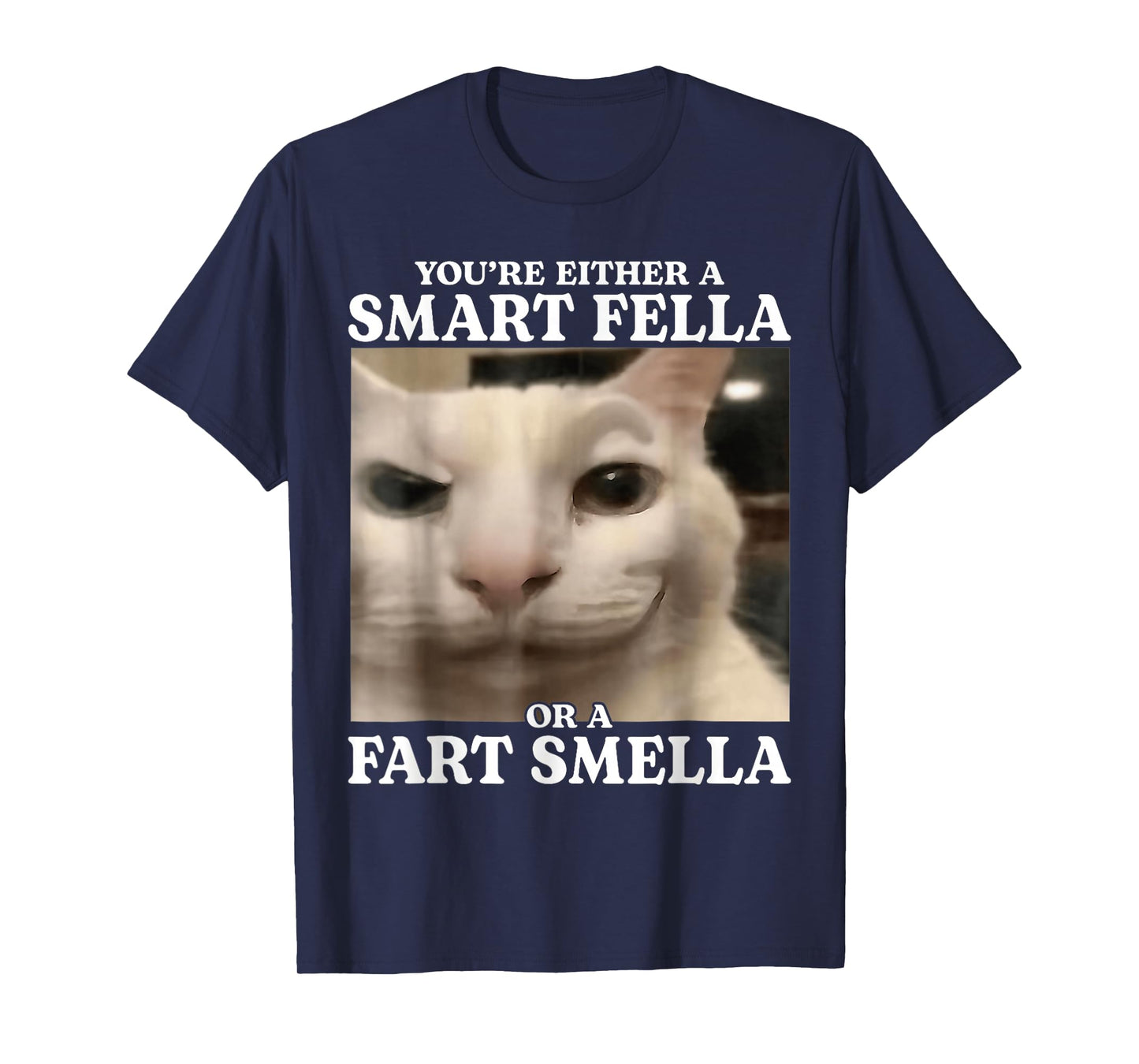 You're Either a Smart Fella or a Fart Smella Cat Funny Meme T-Shirt