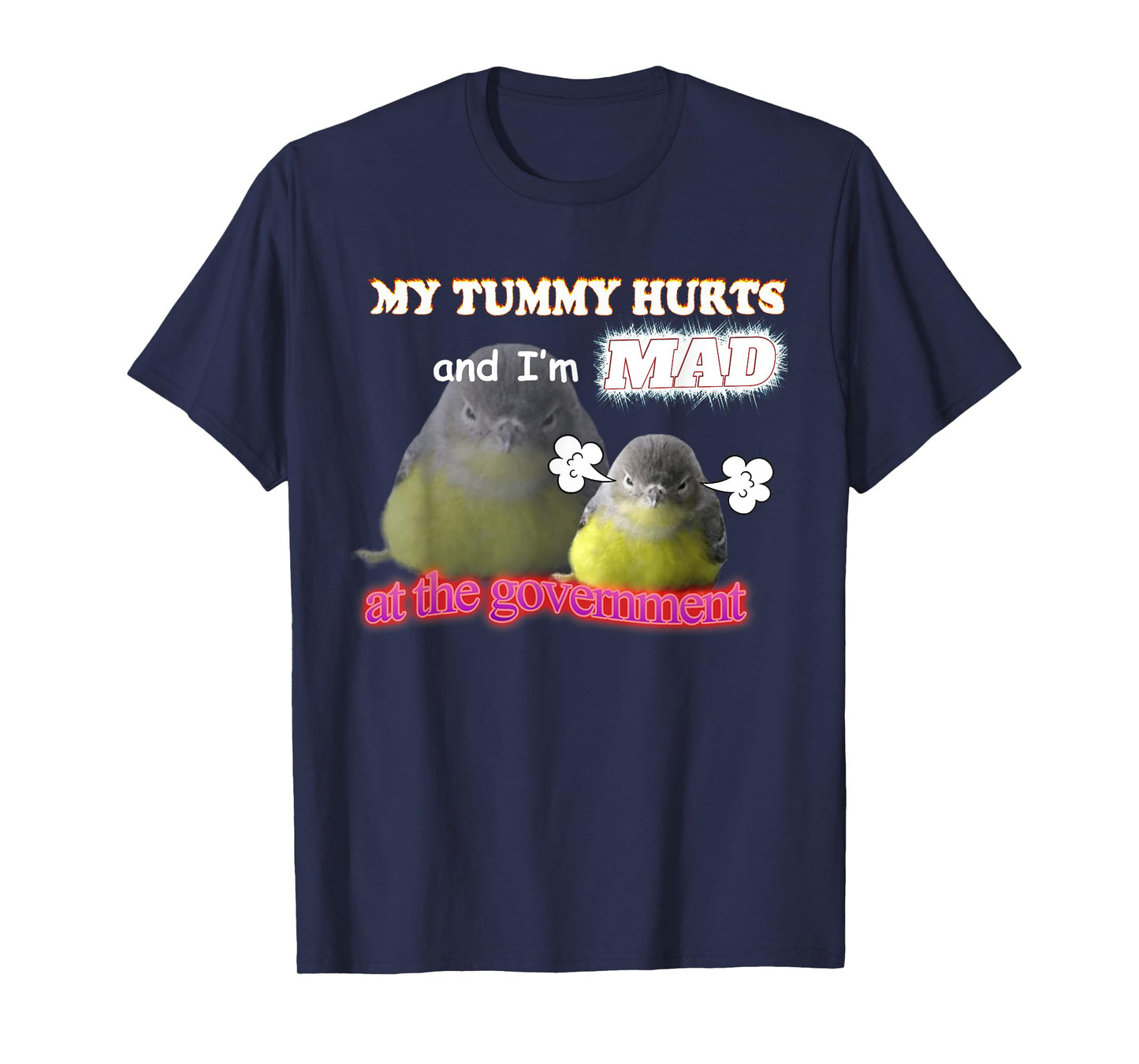 My Tummy Hurts And I'm Mad At The Government Birb Meme T-Shirt
