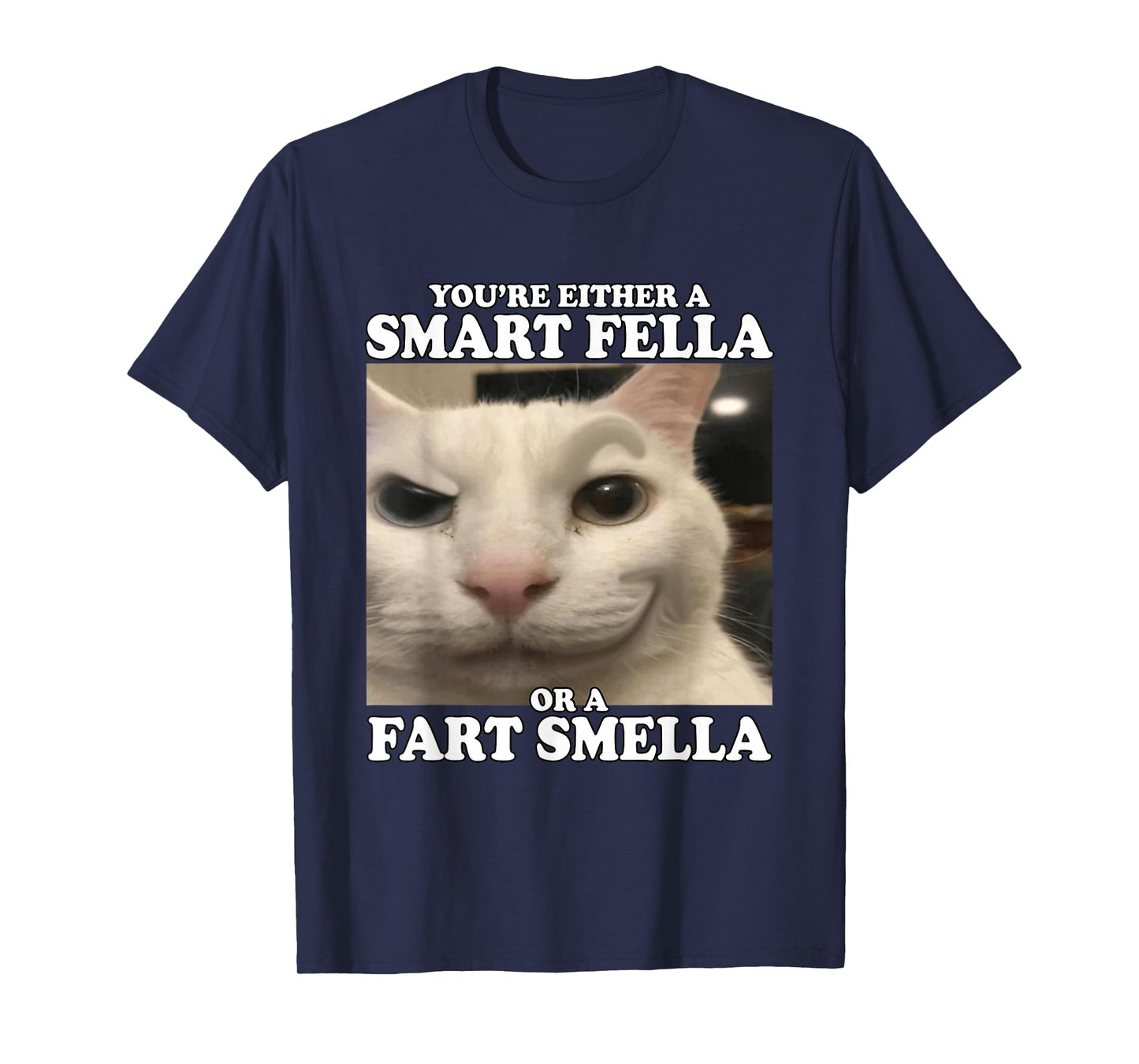 You're Either A Smart Fella Or A Fart Smella Funny Cat Meme T-Shirt