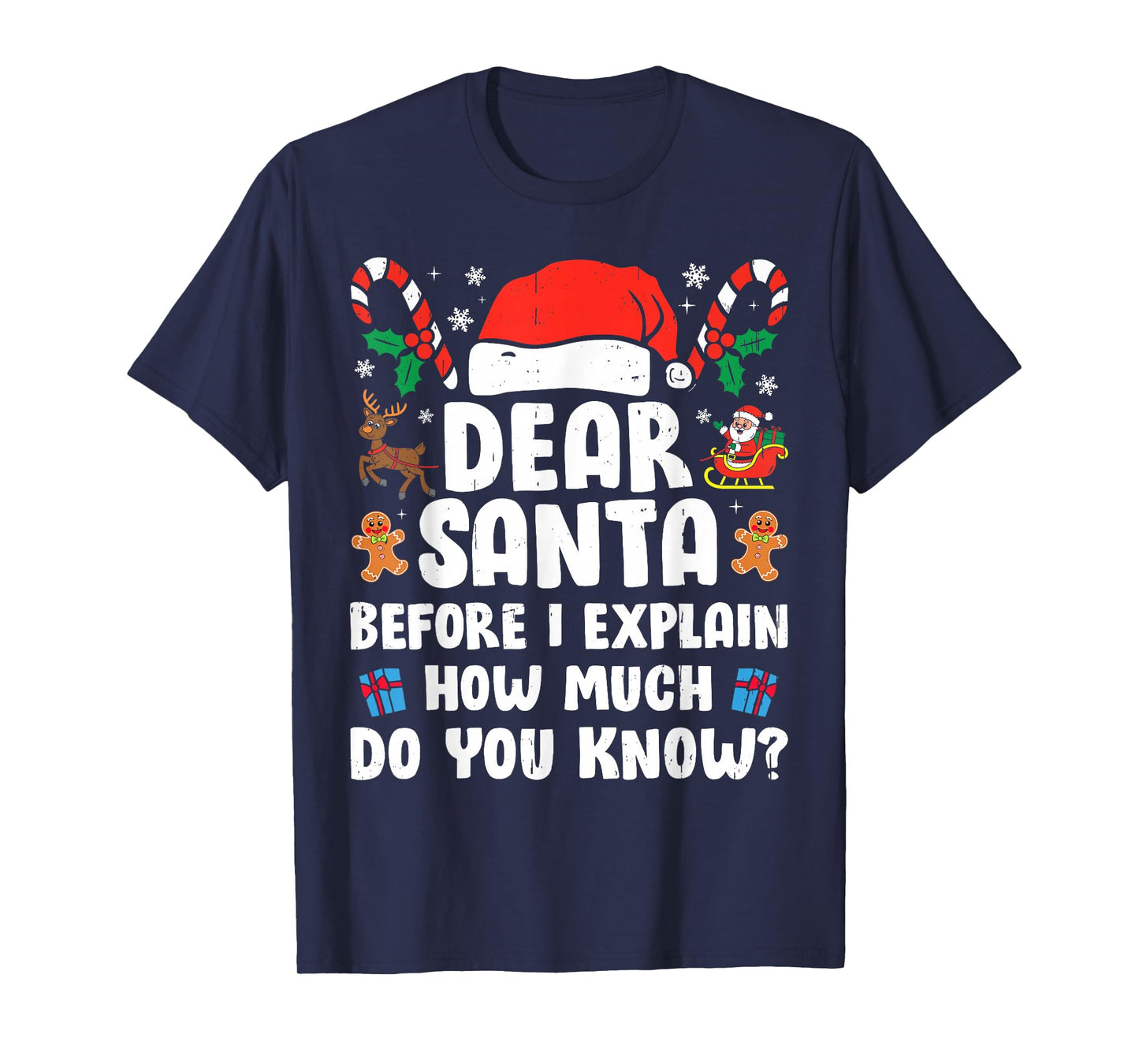 Dear Santa I Can Explain Funny Christmas Xmas Men Women Kids T-Shirt