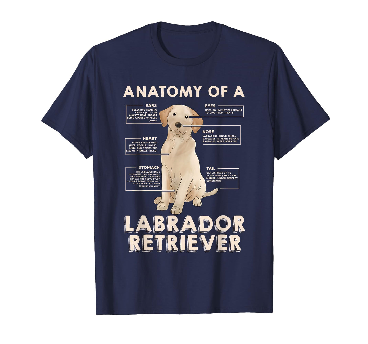Funny Anatomy of a Labrador Retriever Graphic with Saying T-Shirt