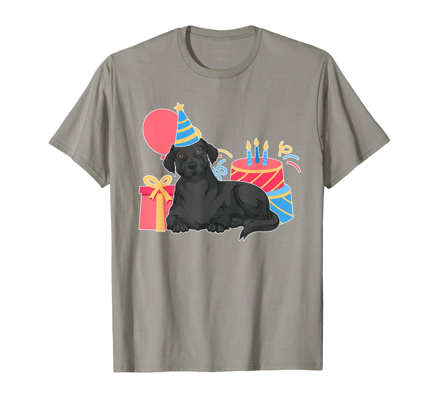 Black Labrador Lover Dog Owner Kids Birthday Party Black Lab T-Shirt