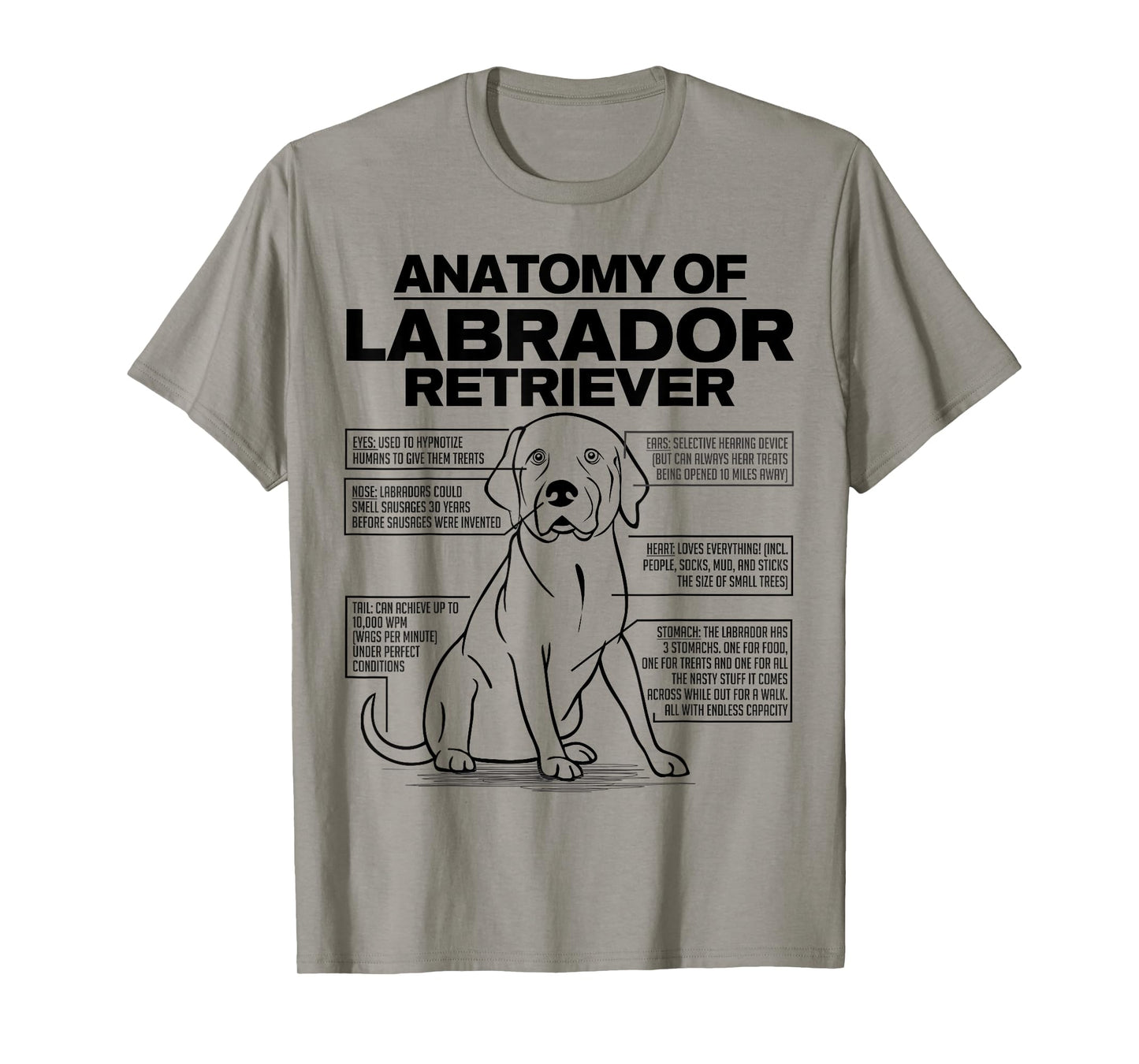 Anatomy of a Labrador Retriever Funny Dog owner gifts shirt T-Shirt