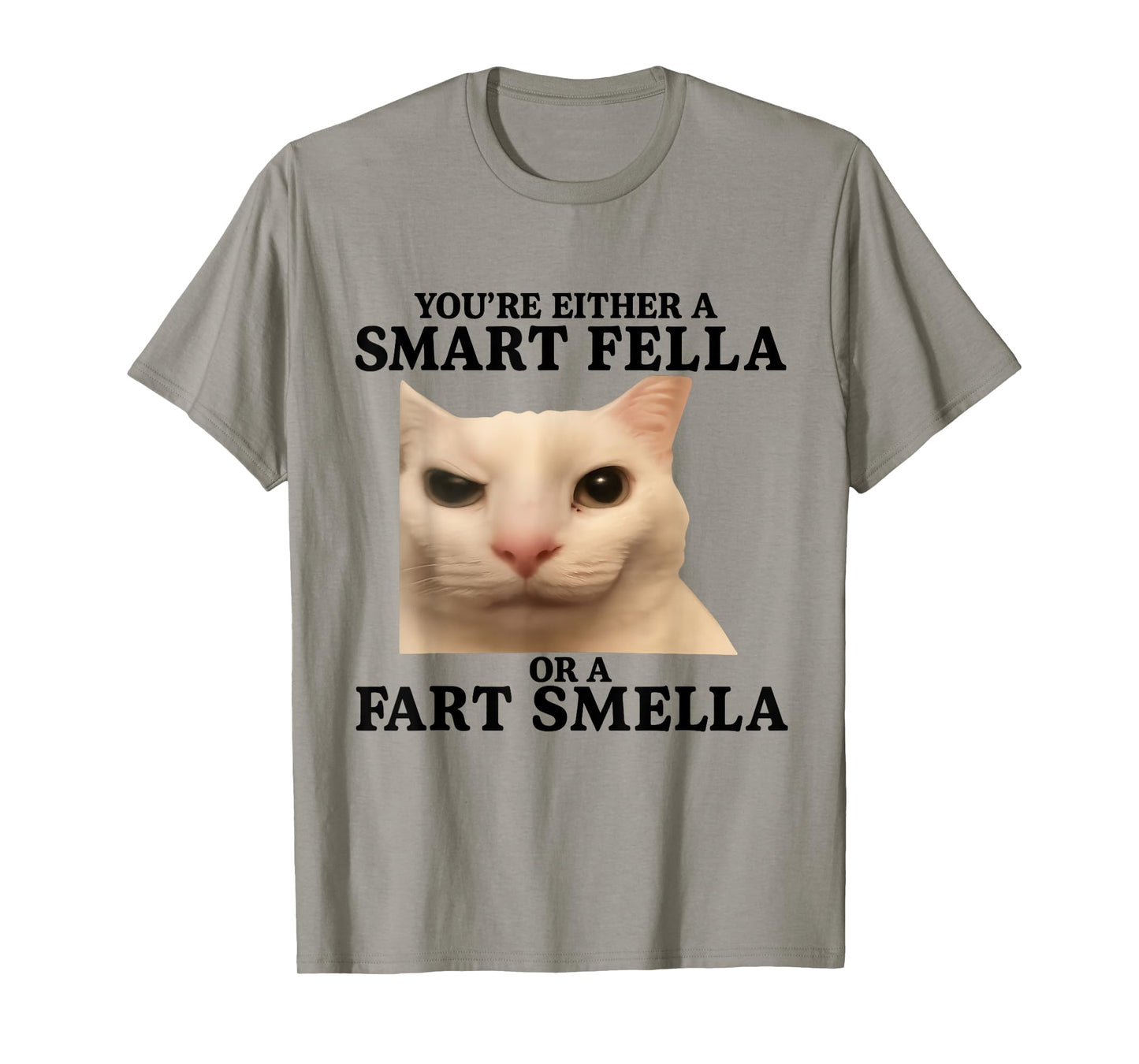 Funny You're Either a Smart Fella or a Fart Smella Cat Quote T-Shirt