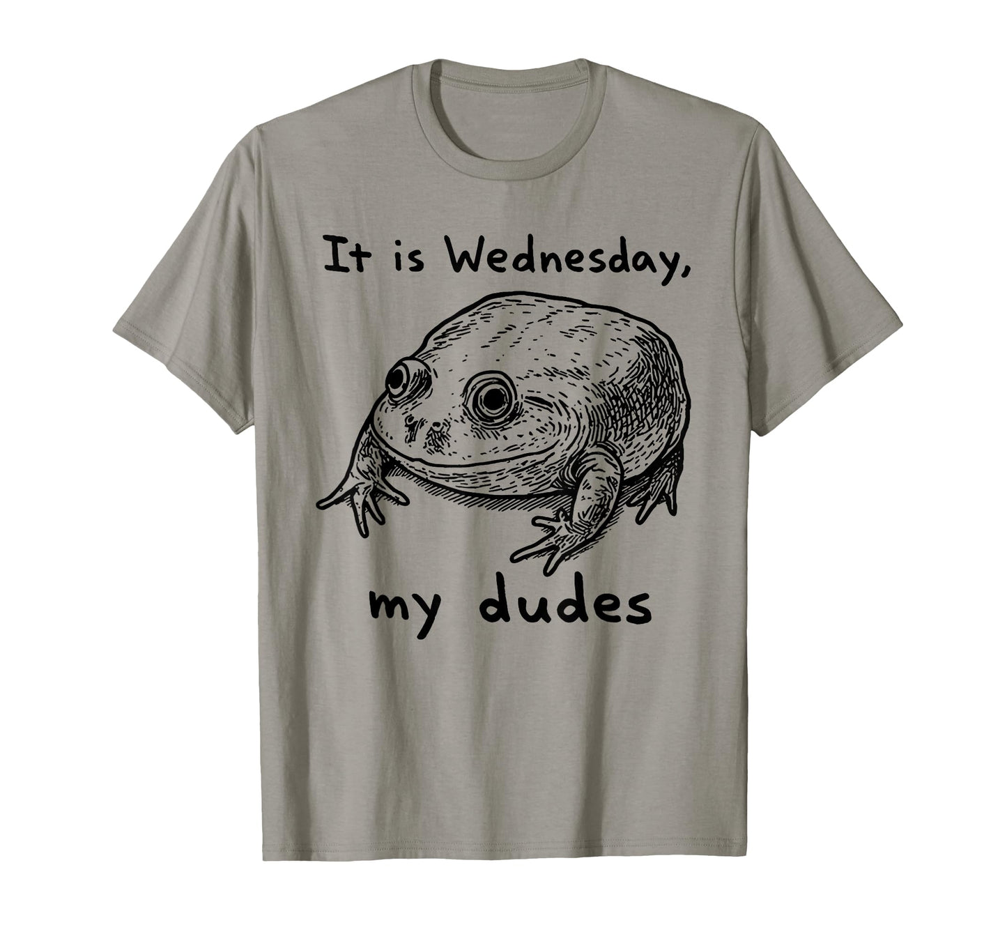 Retro It Is Wednesday My Dudes Funny Frog T-Shirt