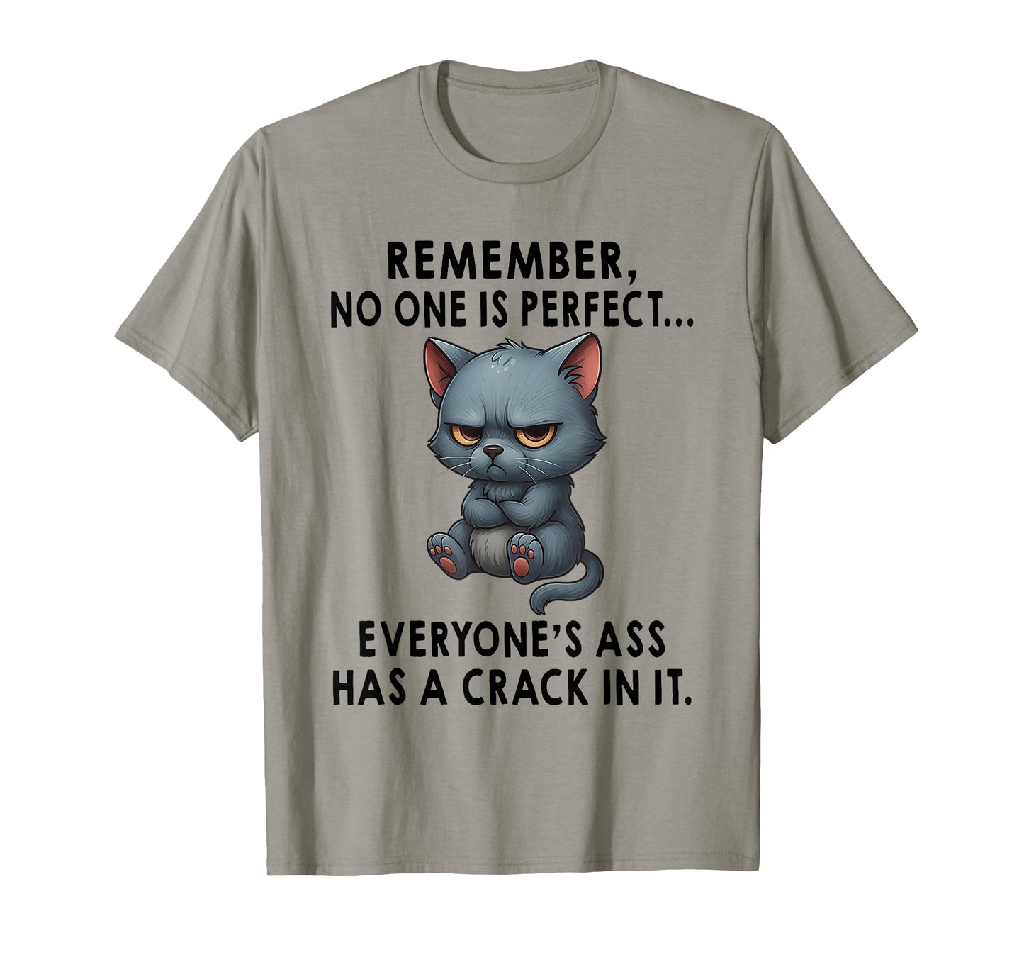 Remember No One is Perfect Everyone's Ass Has A Crack in It T-Shirt