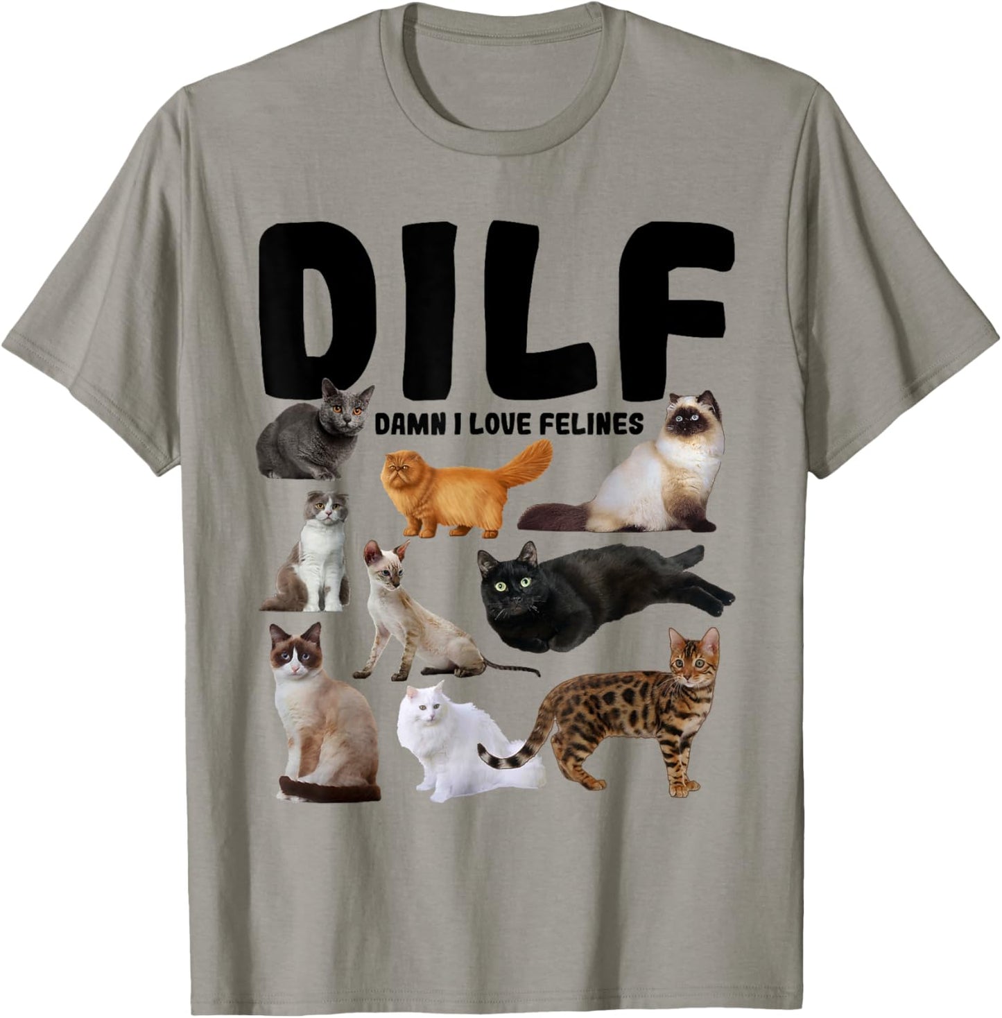 DILF Damn I Love Felines Funny Cat Vintage T-Shirt