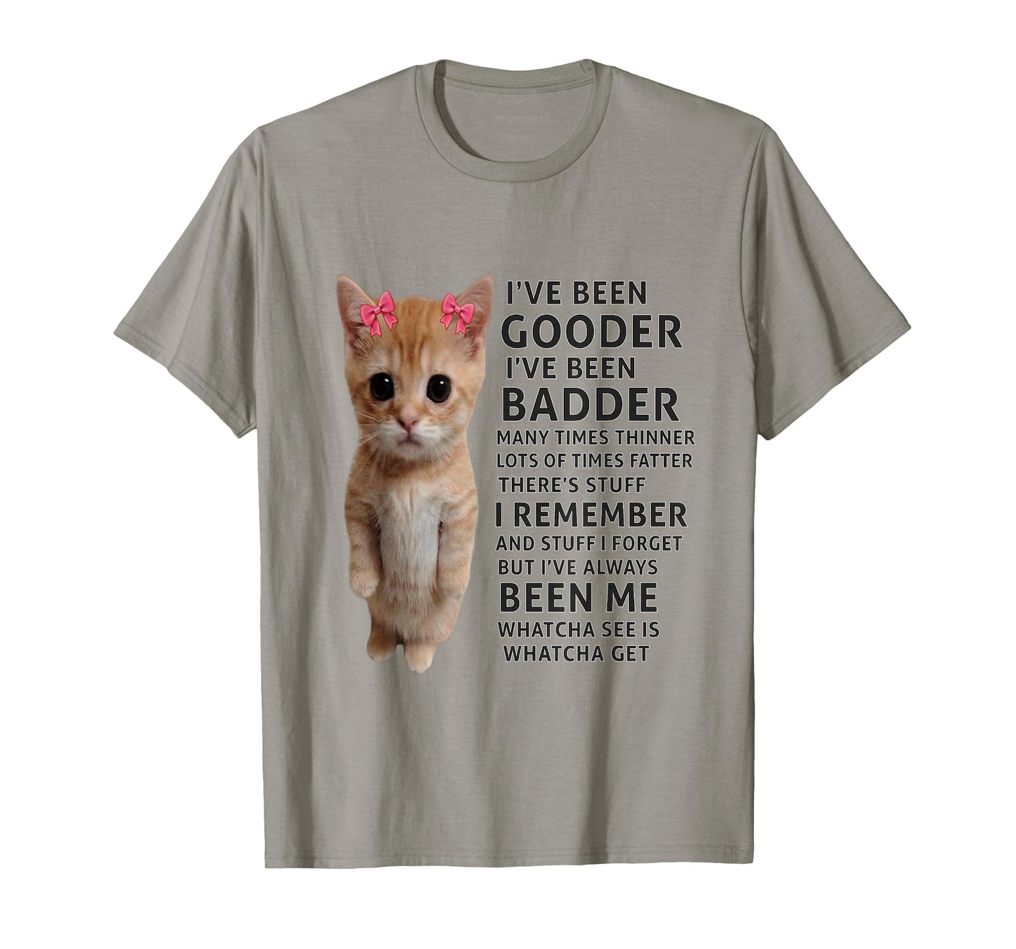 I've Been Gooder I've Been Badder Many Times Thinner cat T-Shirt
