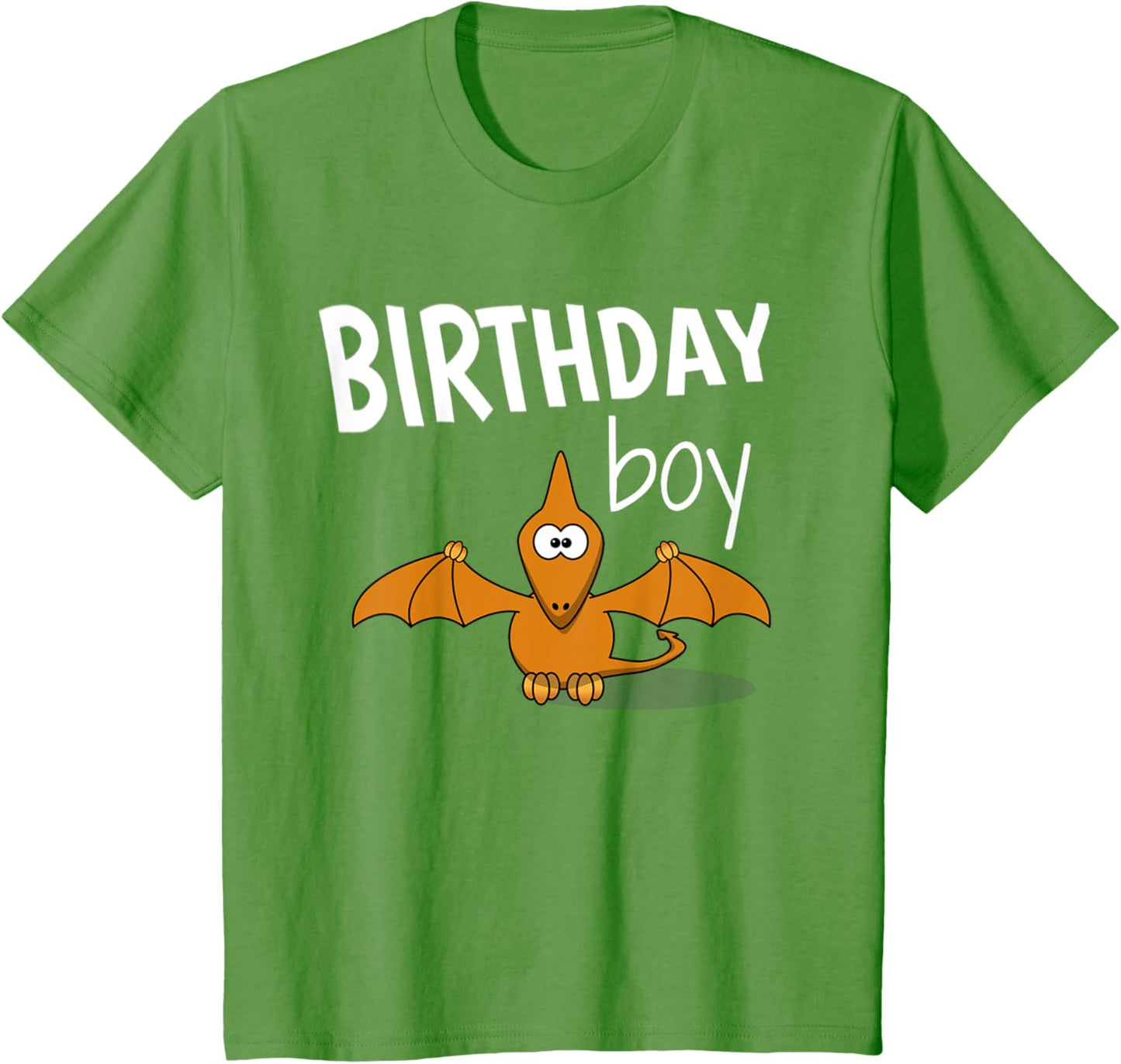 Kids Dinosaur Pterodactyl Birthday Boy Kid's Party Gift T-shirt T-Shirt