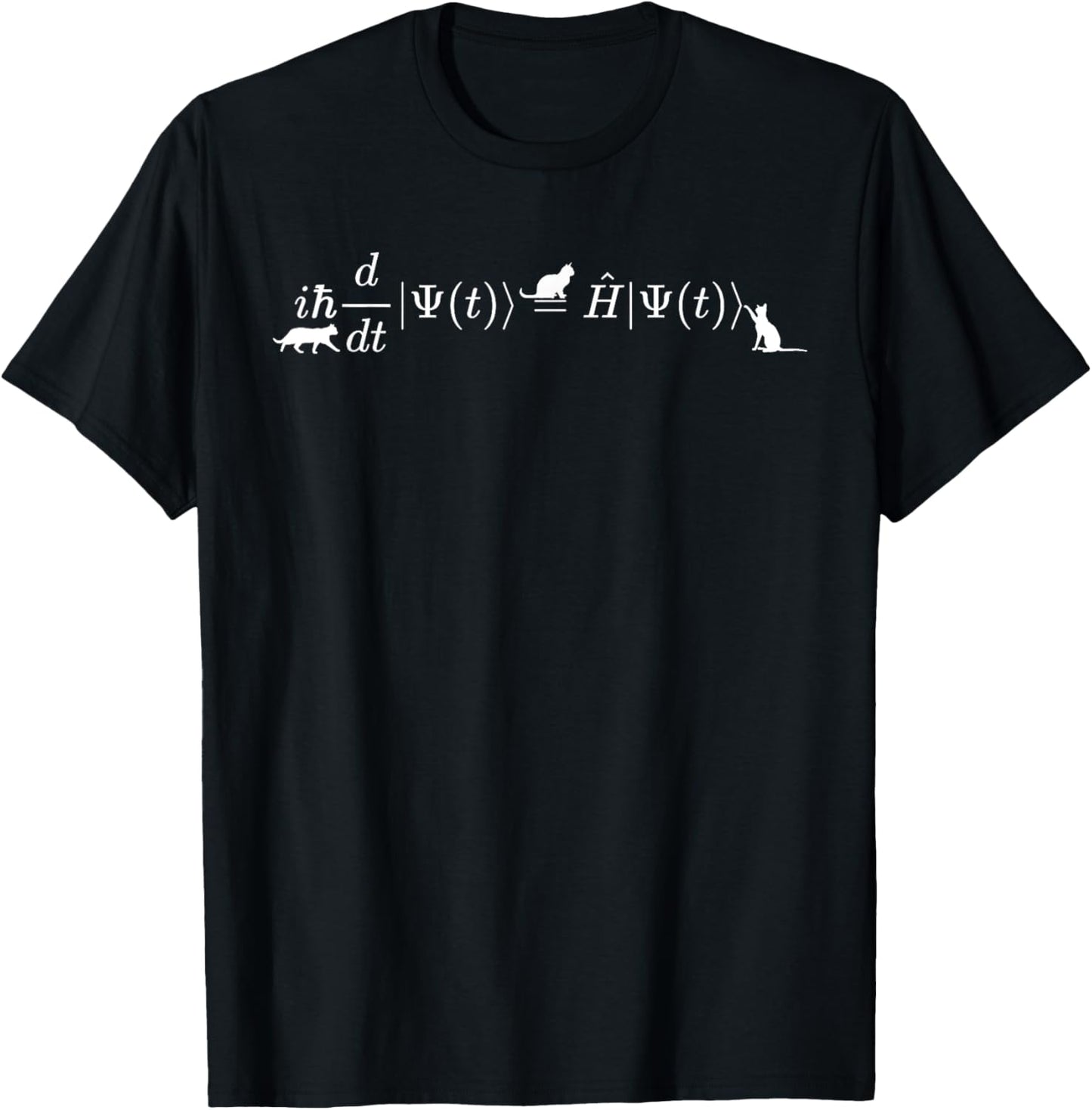 Schrodinger cats math & physics formula equation t-shirt T-Shirt