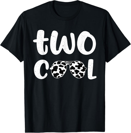 Two Cool 2nd Birthday 2 Year Old Boy Second Bday T-Shirt