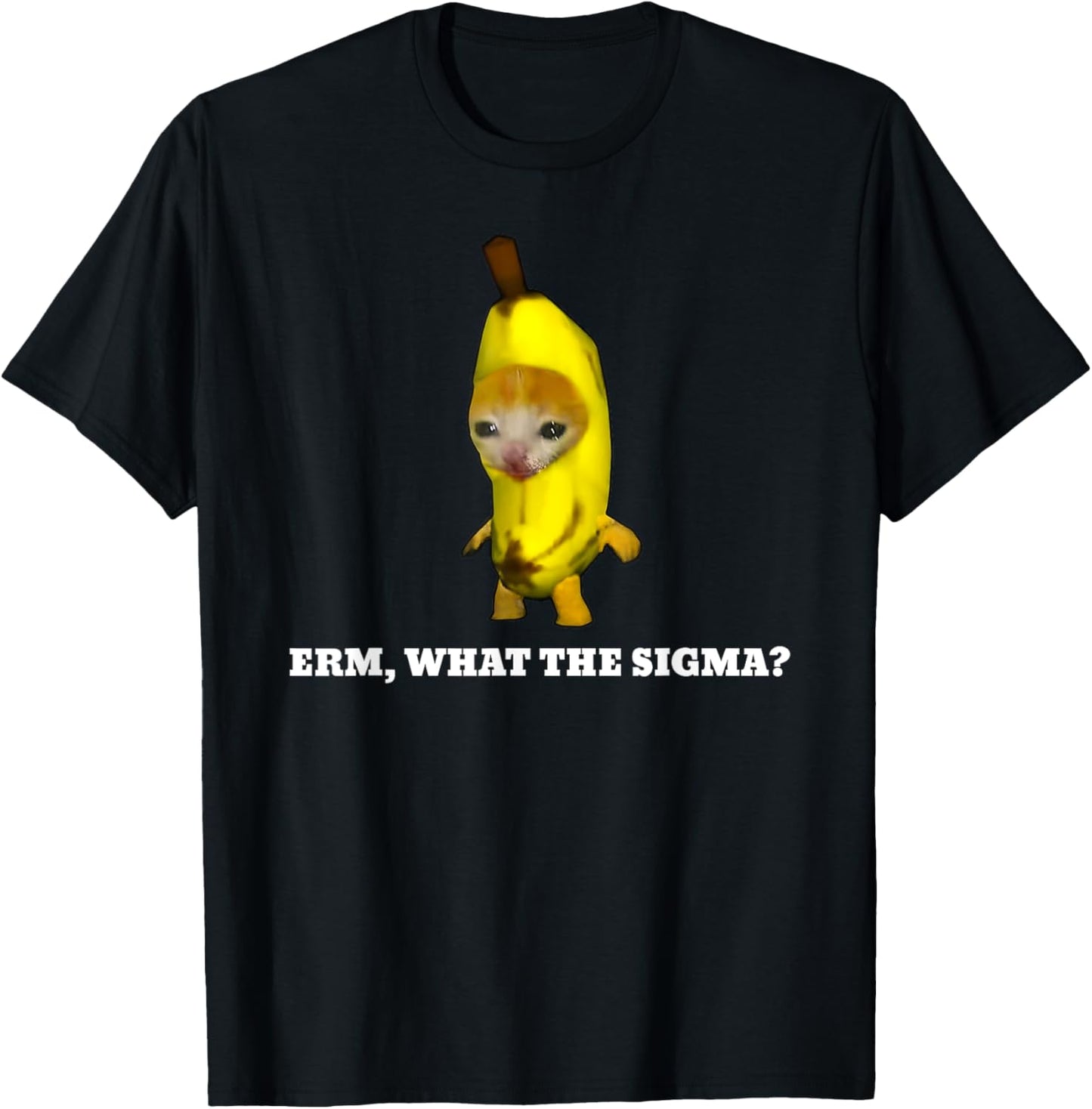Erm, What Sigma? Cat meme T-Shirt