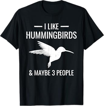 I Like Hummingbirds & Maybe 3 People Funny Introvert Gift T-Shirt