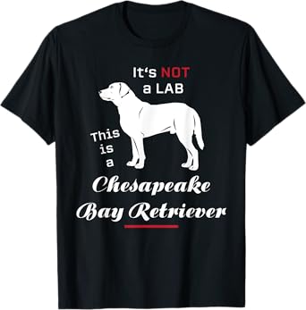 It's not a Lab this is a Chesapeake Bay Retriever T-Shirt