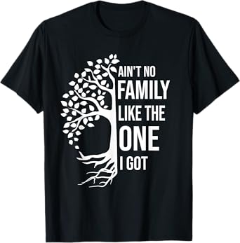 Ain't No Family Like The One I Got Funny Family Reunion 2025 T-Shirt
