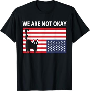 We Are Not Okay American Flag Ok Cat Pet Humor for Men Women T-Shirt